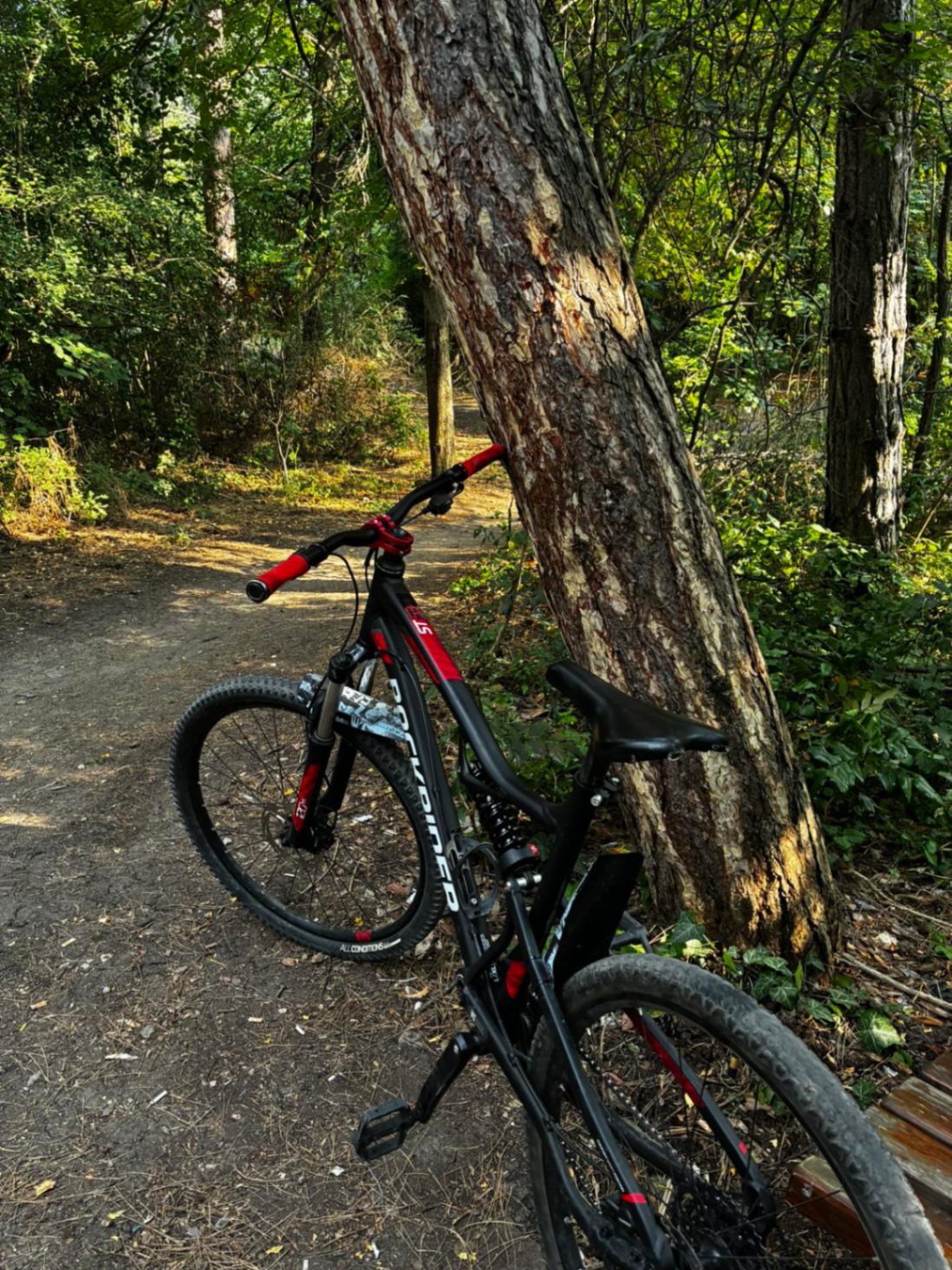 Bike view 2