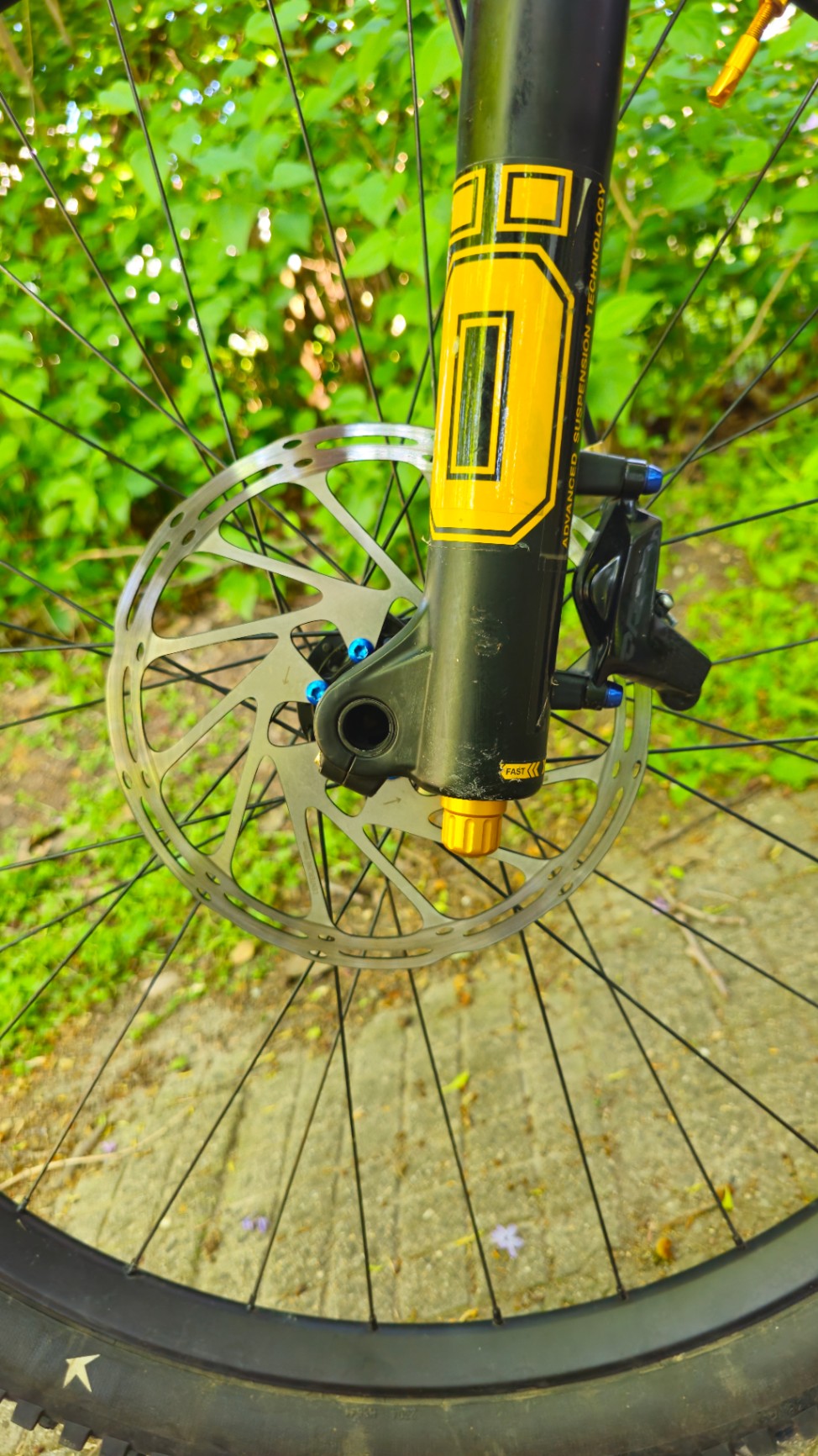 Bike view 8