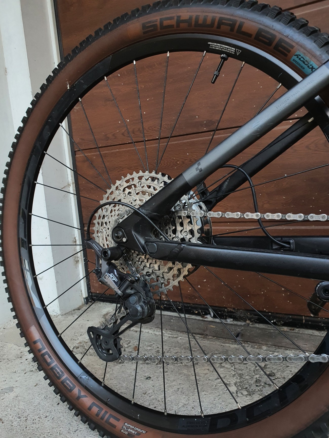 Bike view 9