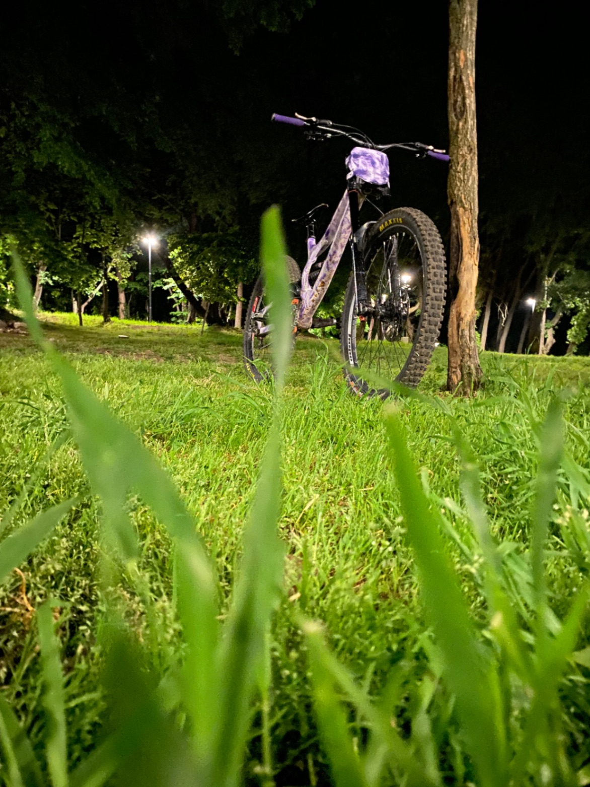 Bike view 5