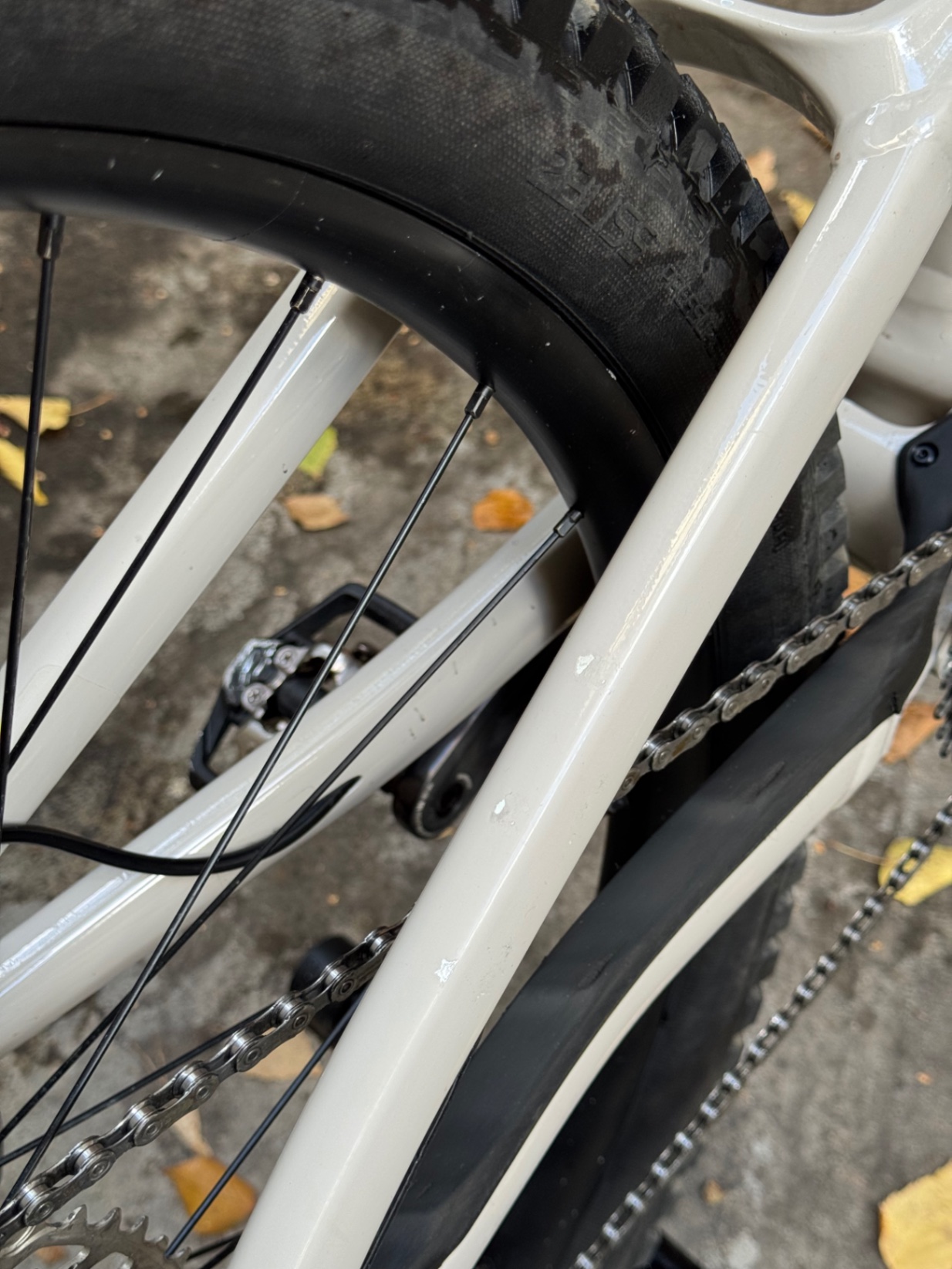 Bike view 8
