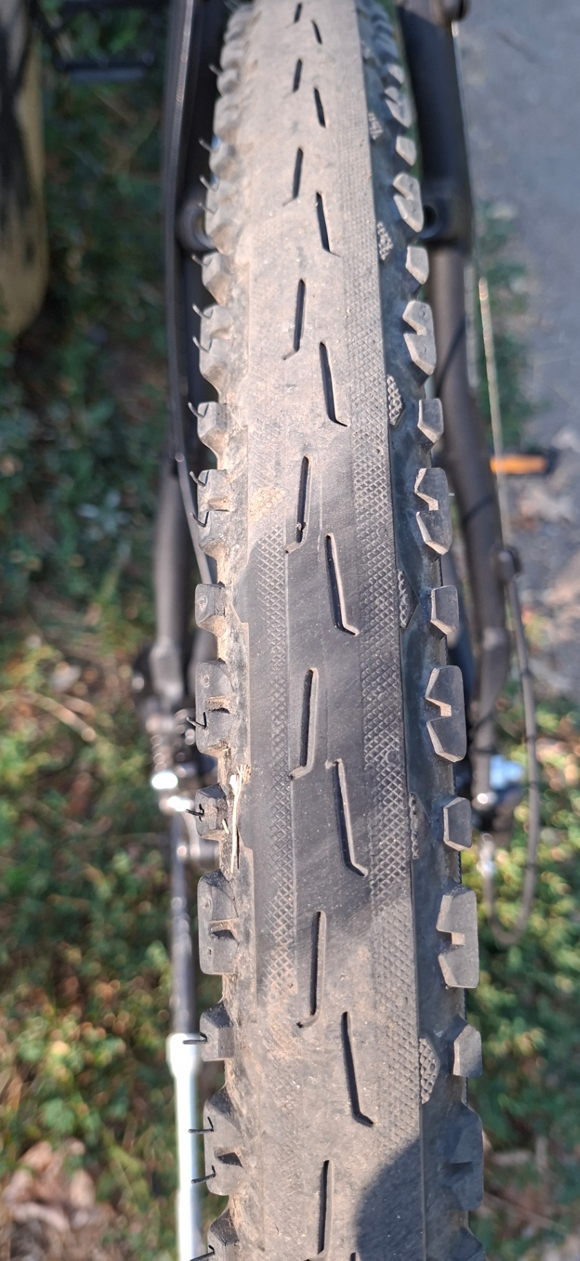 Bike view 4