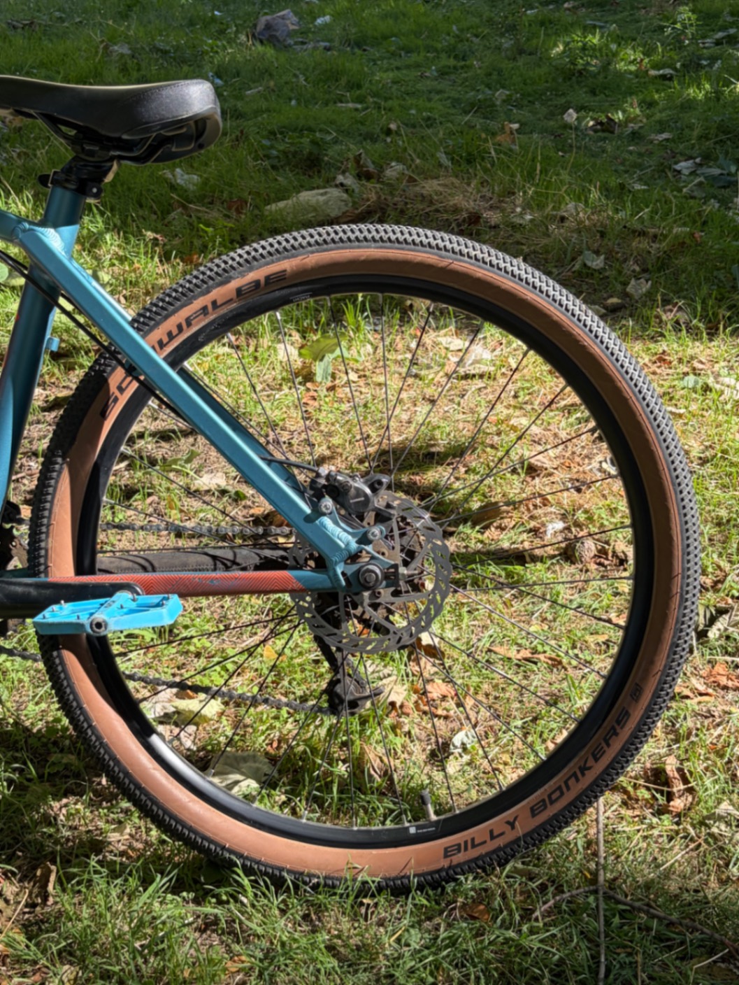 Bike view 10