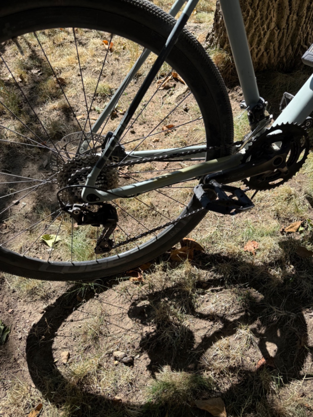 Bike view 6