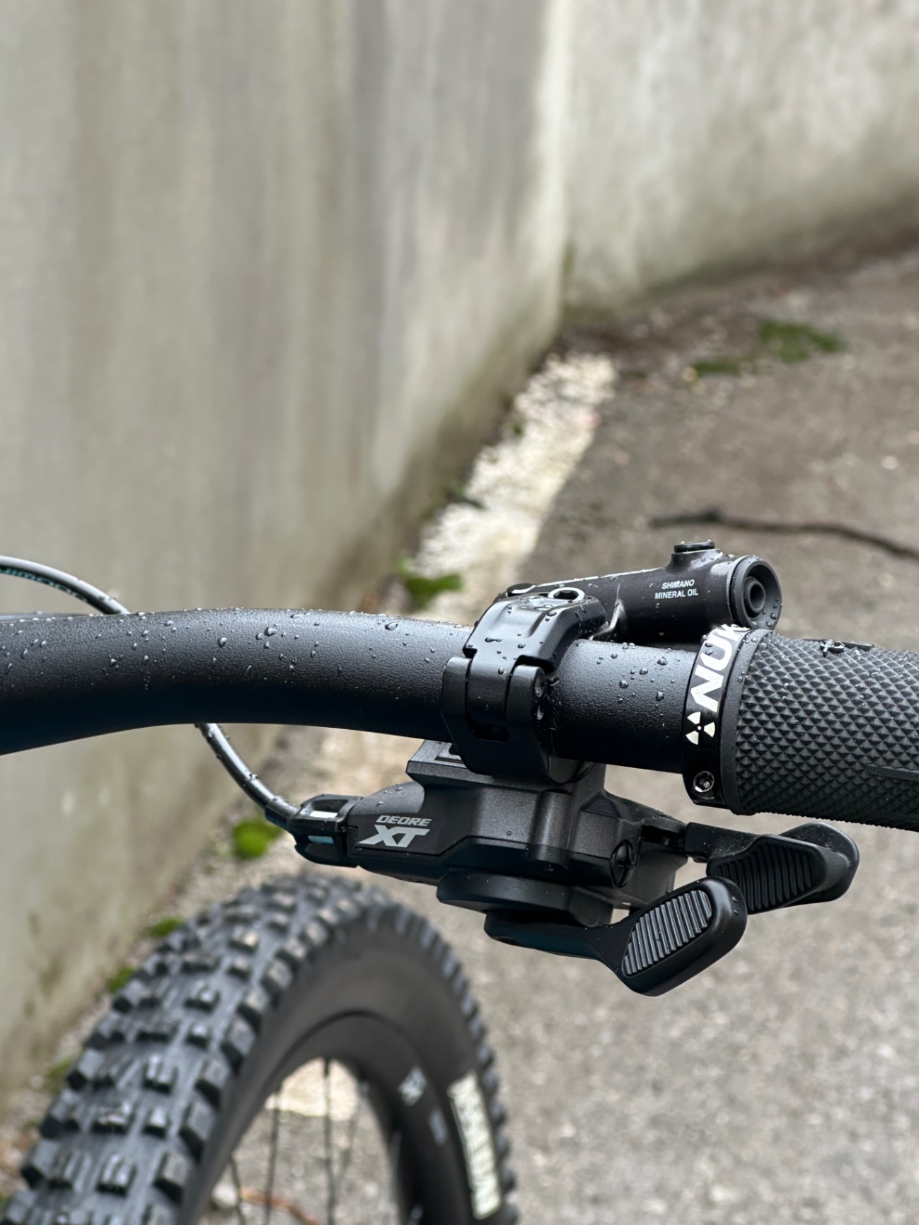 Bike view 12