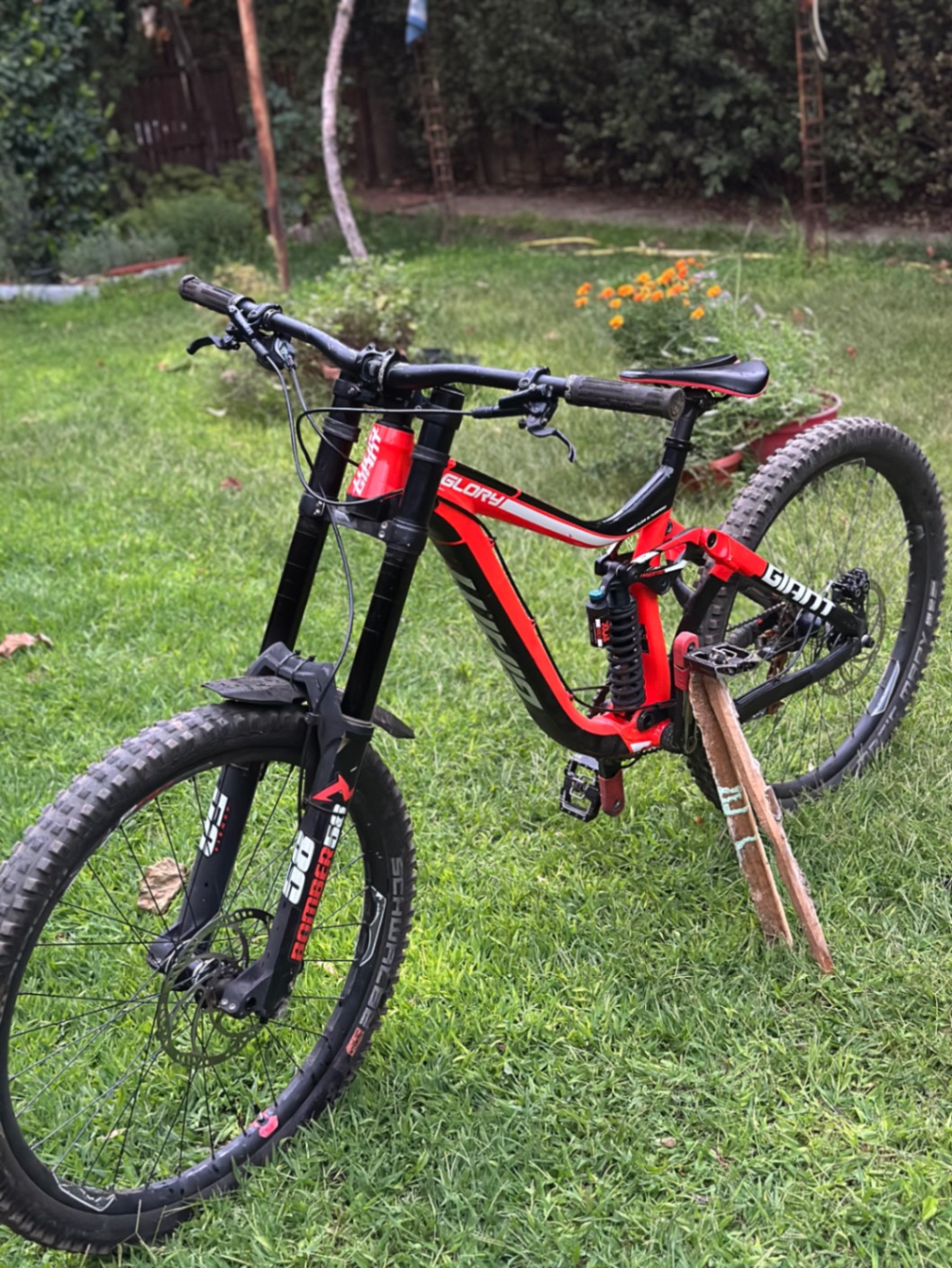 Bike view 10