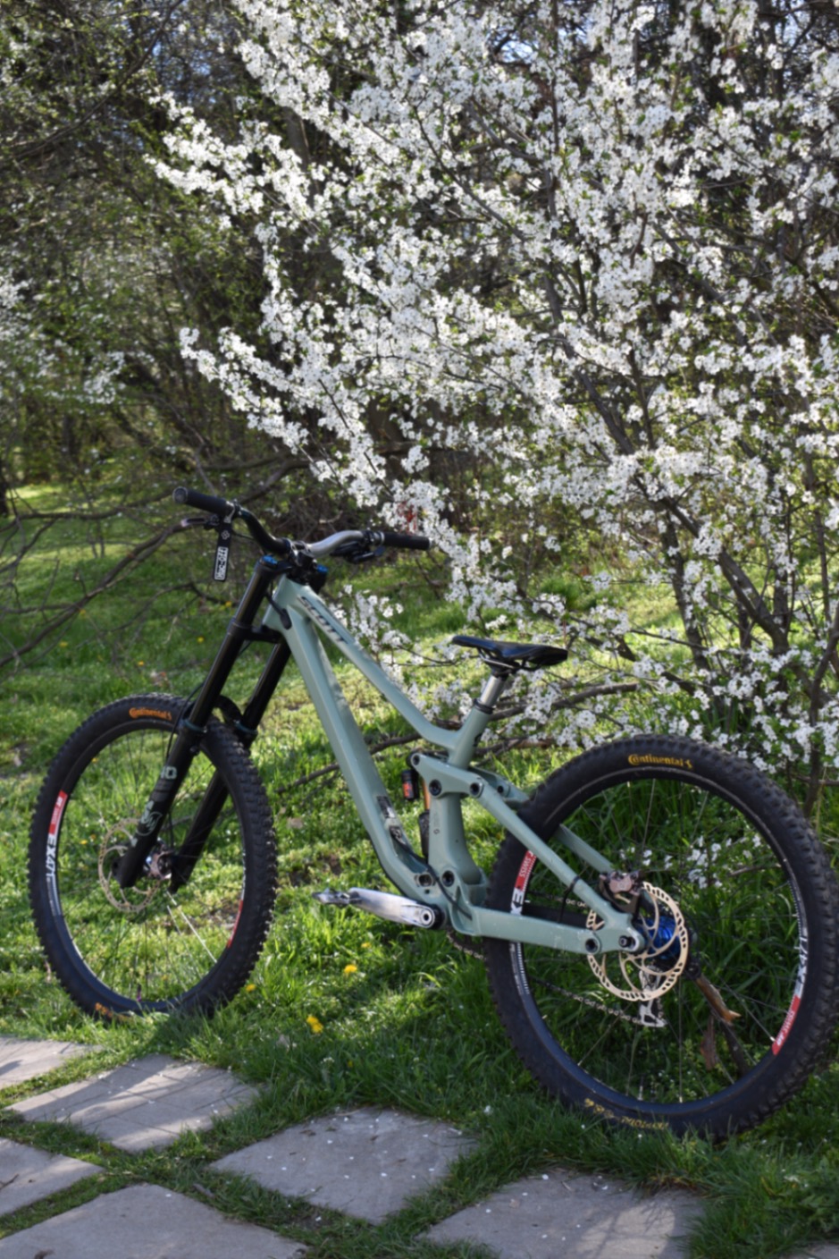 Bike view 2