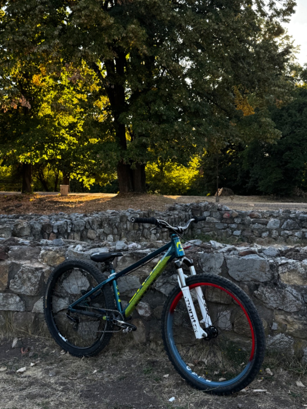 Bike view 2