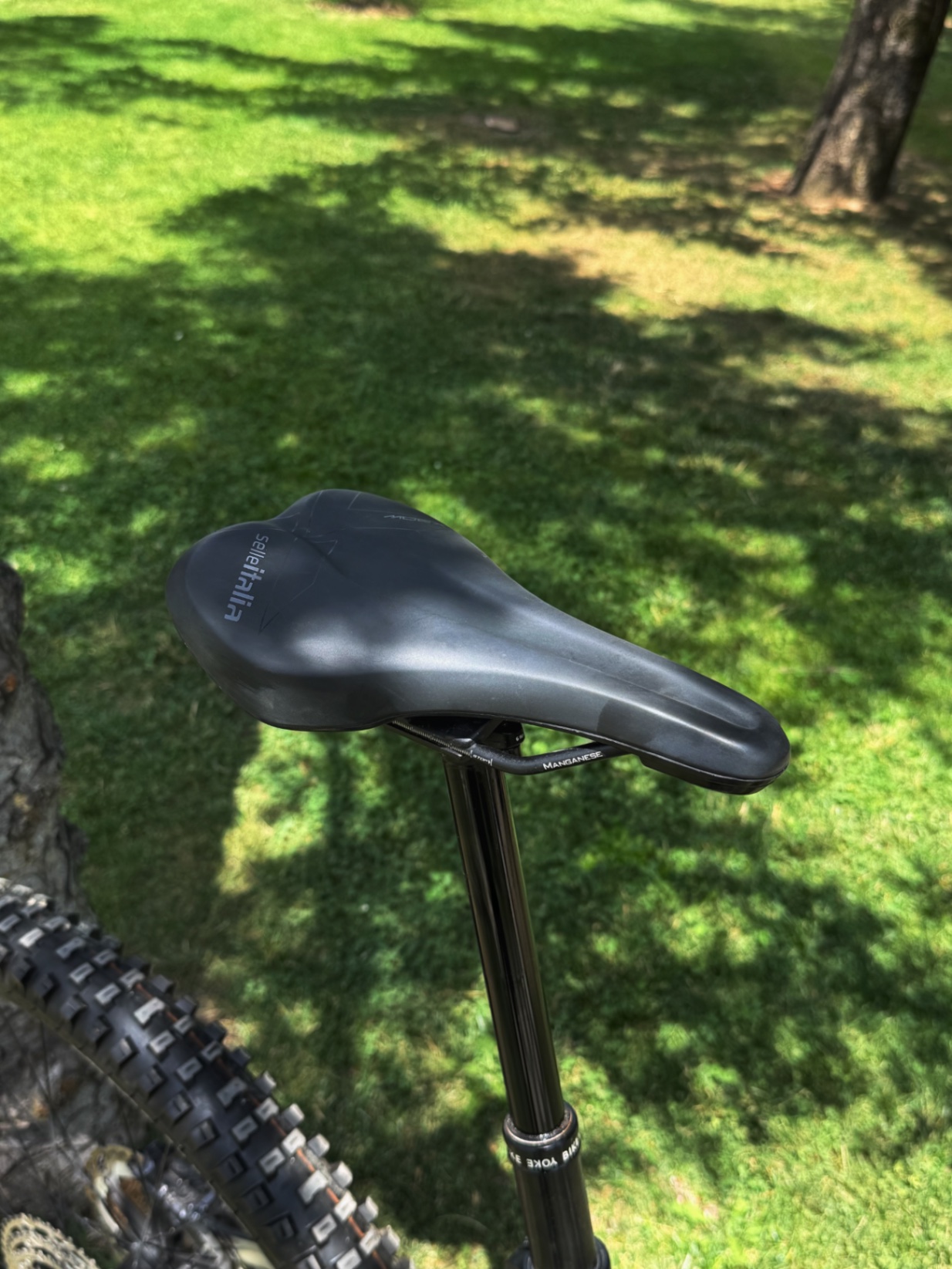 Bike view 5
