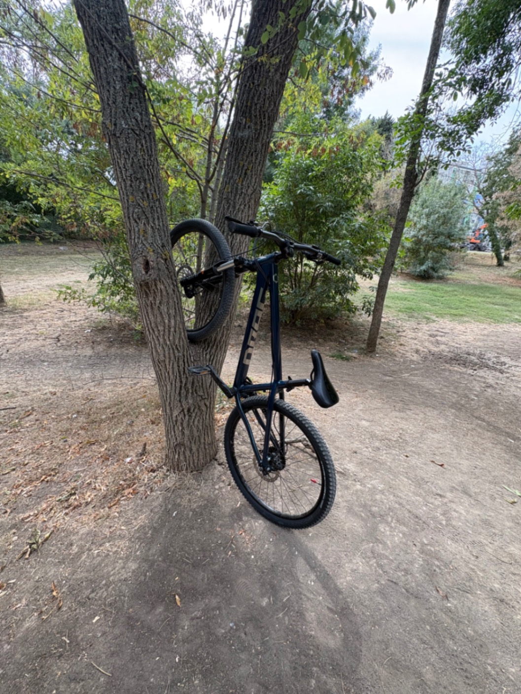 Bike view 7