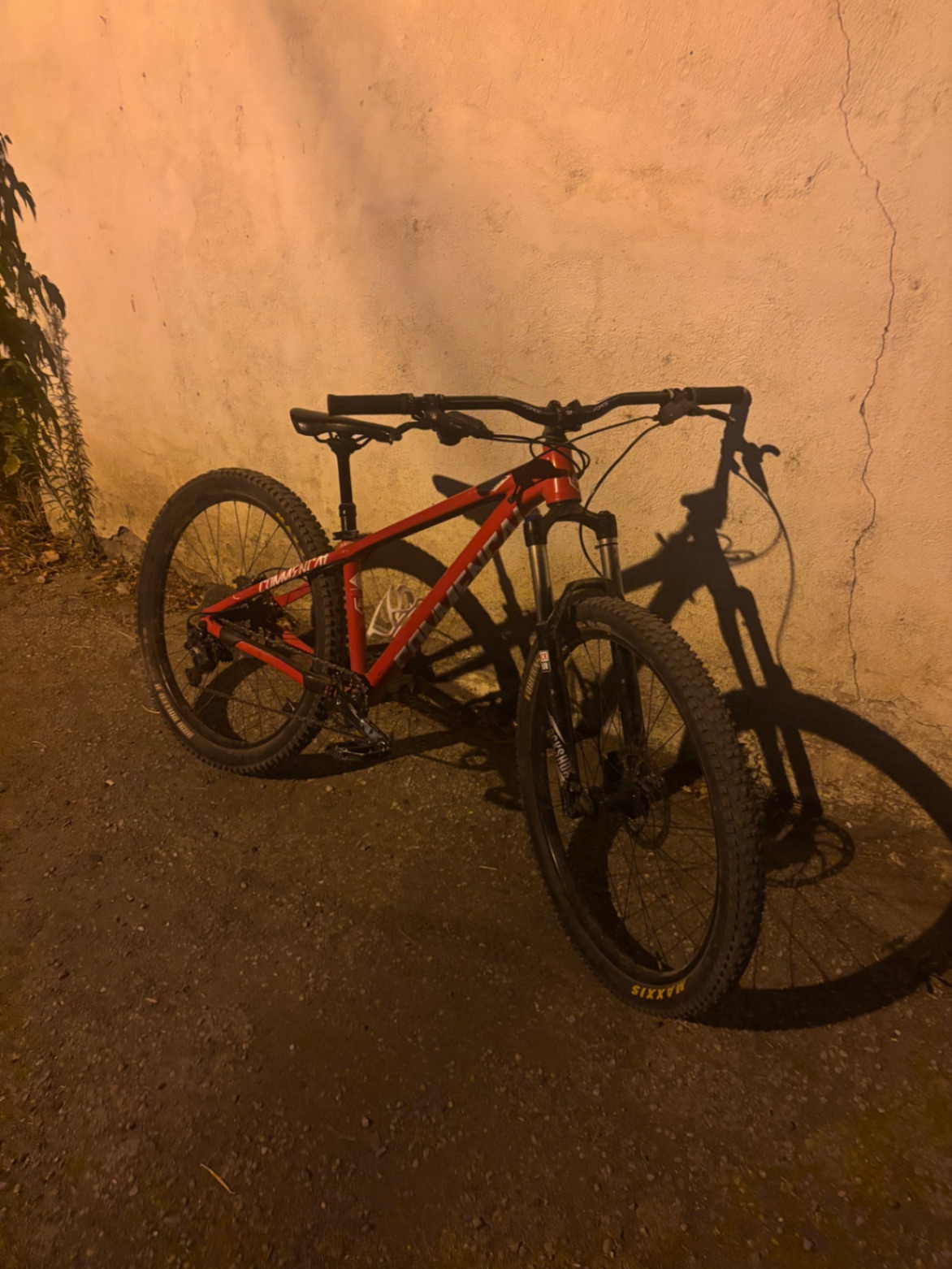 Bike view 5