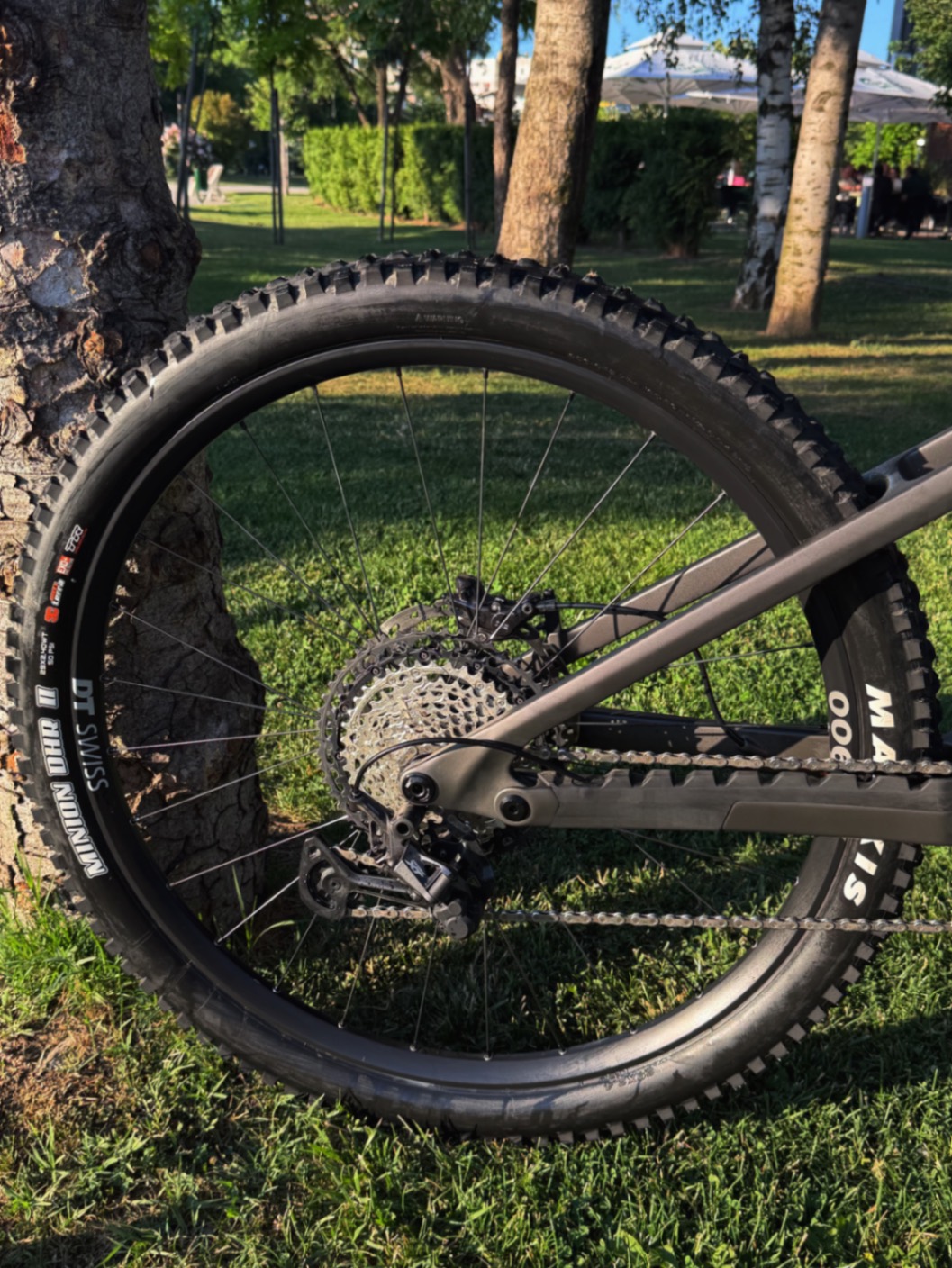 Bike view 5