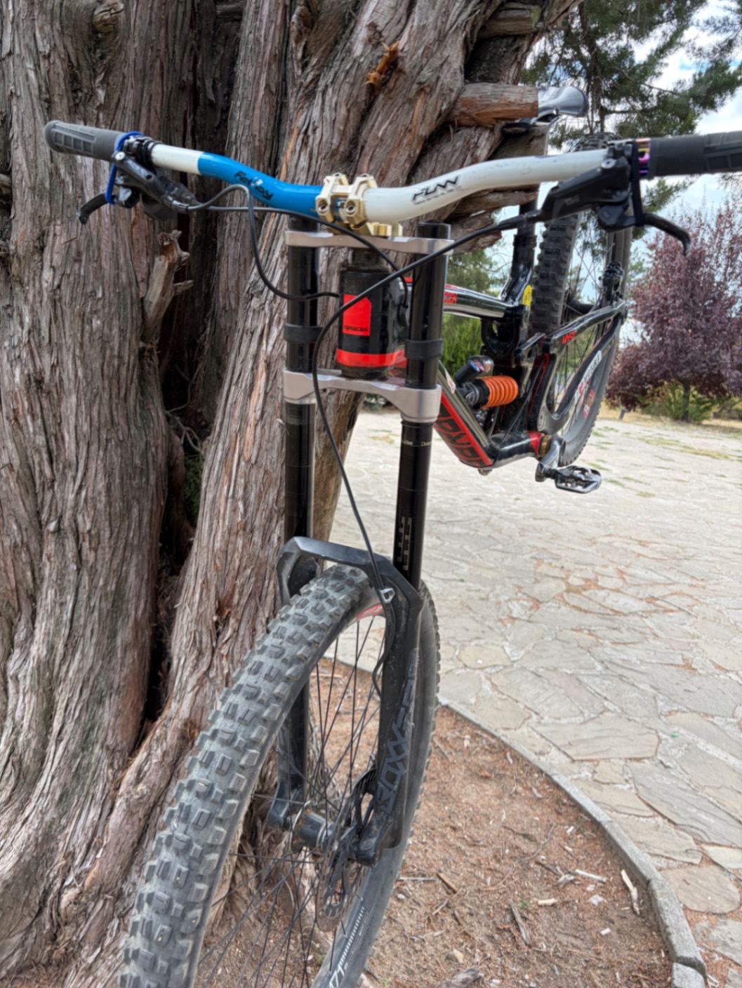 Saracen Myst x carbon view 4