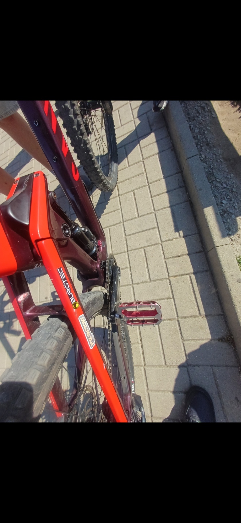 Bike view 5