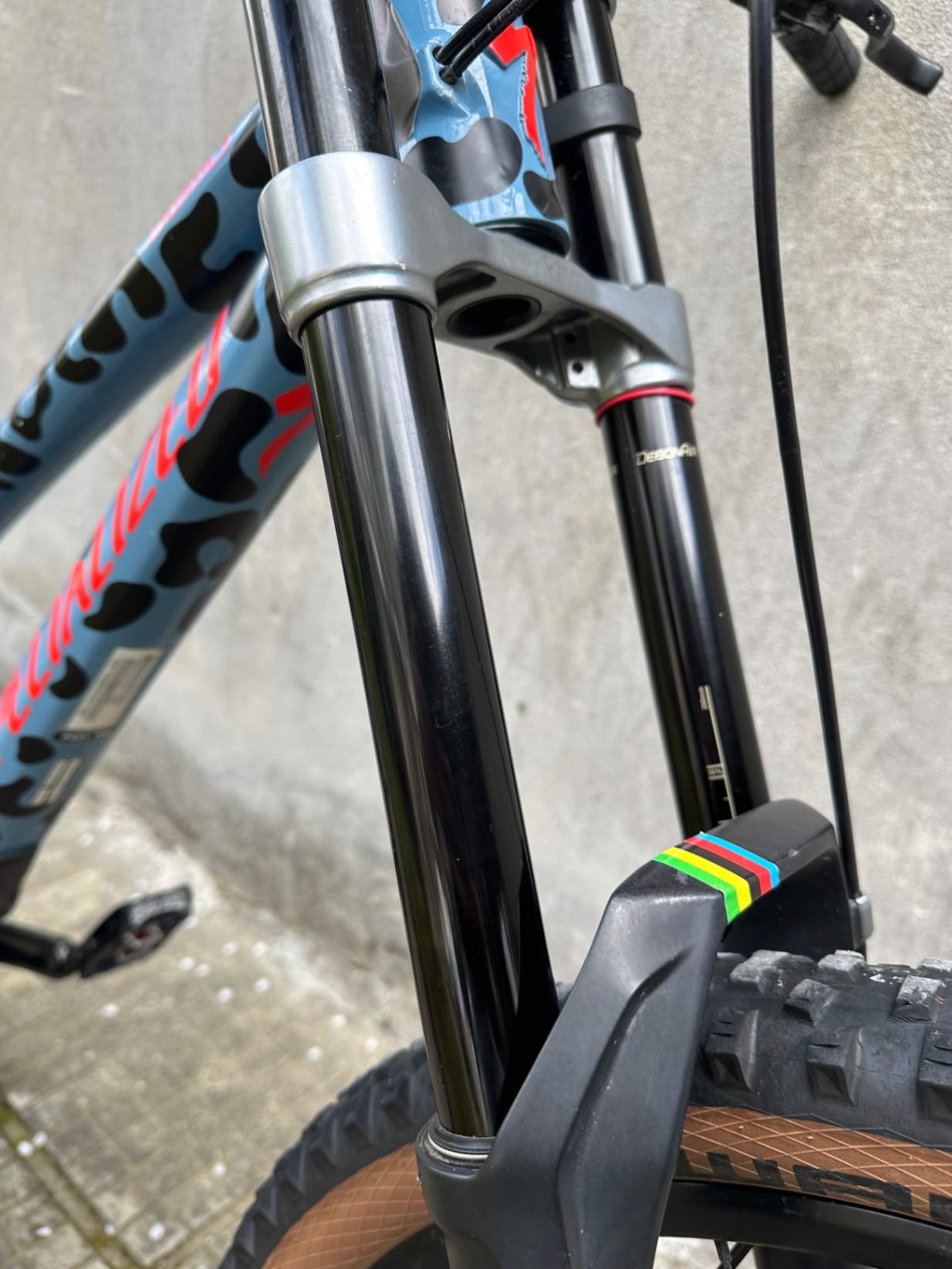 Bike view 10