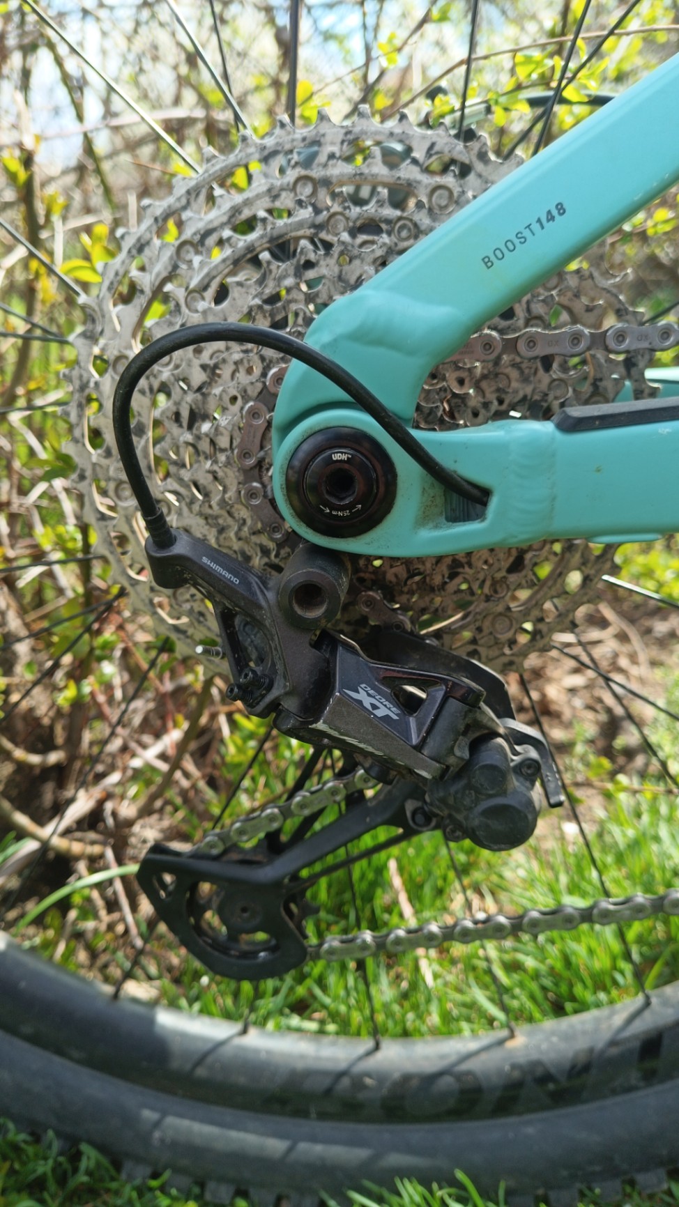 Bike view 9