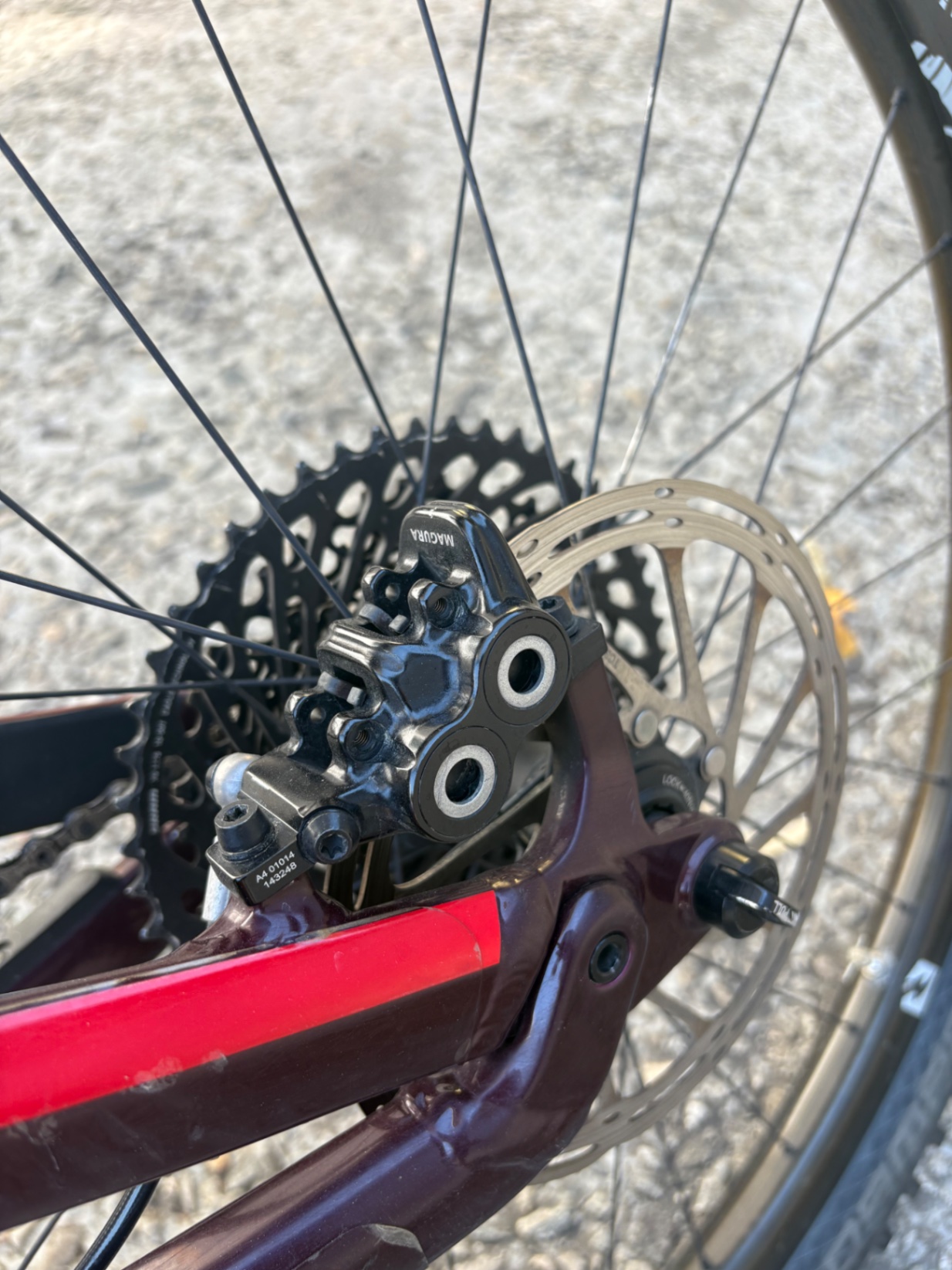Bike view 8
