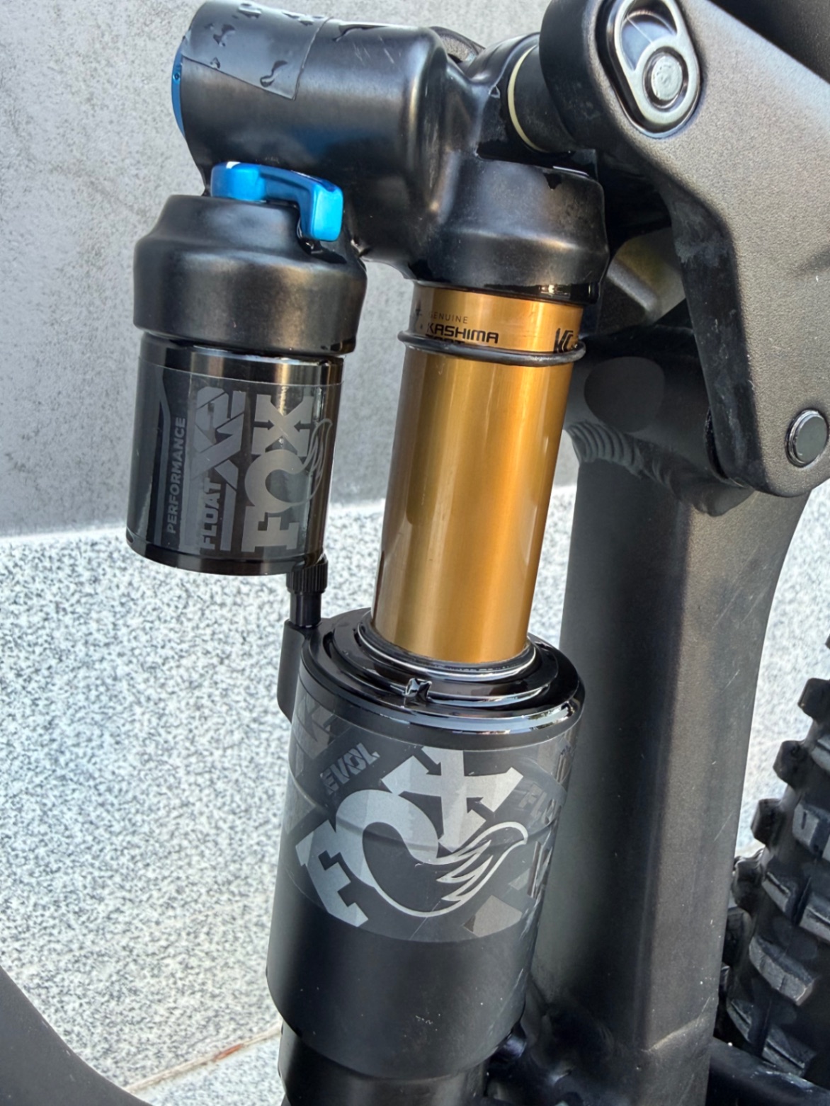 Bike view 10