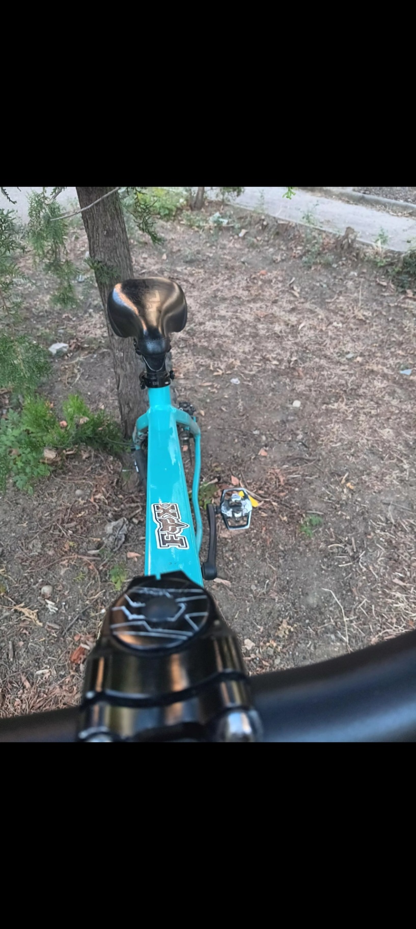Bike view 11