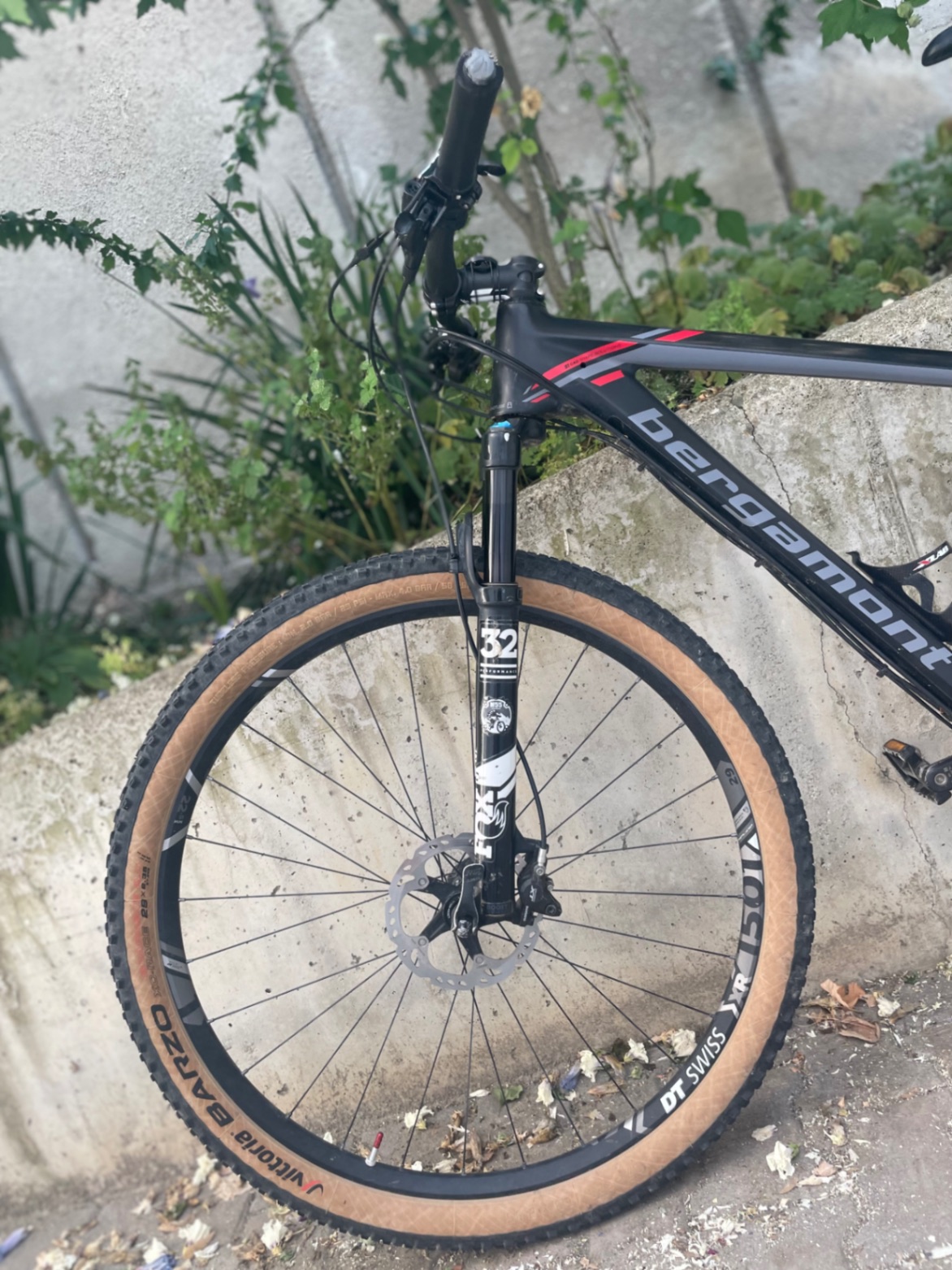 Bike view 8