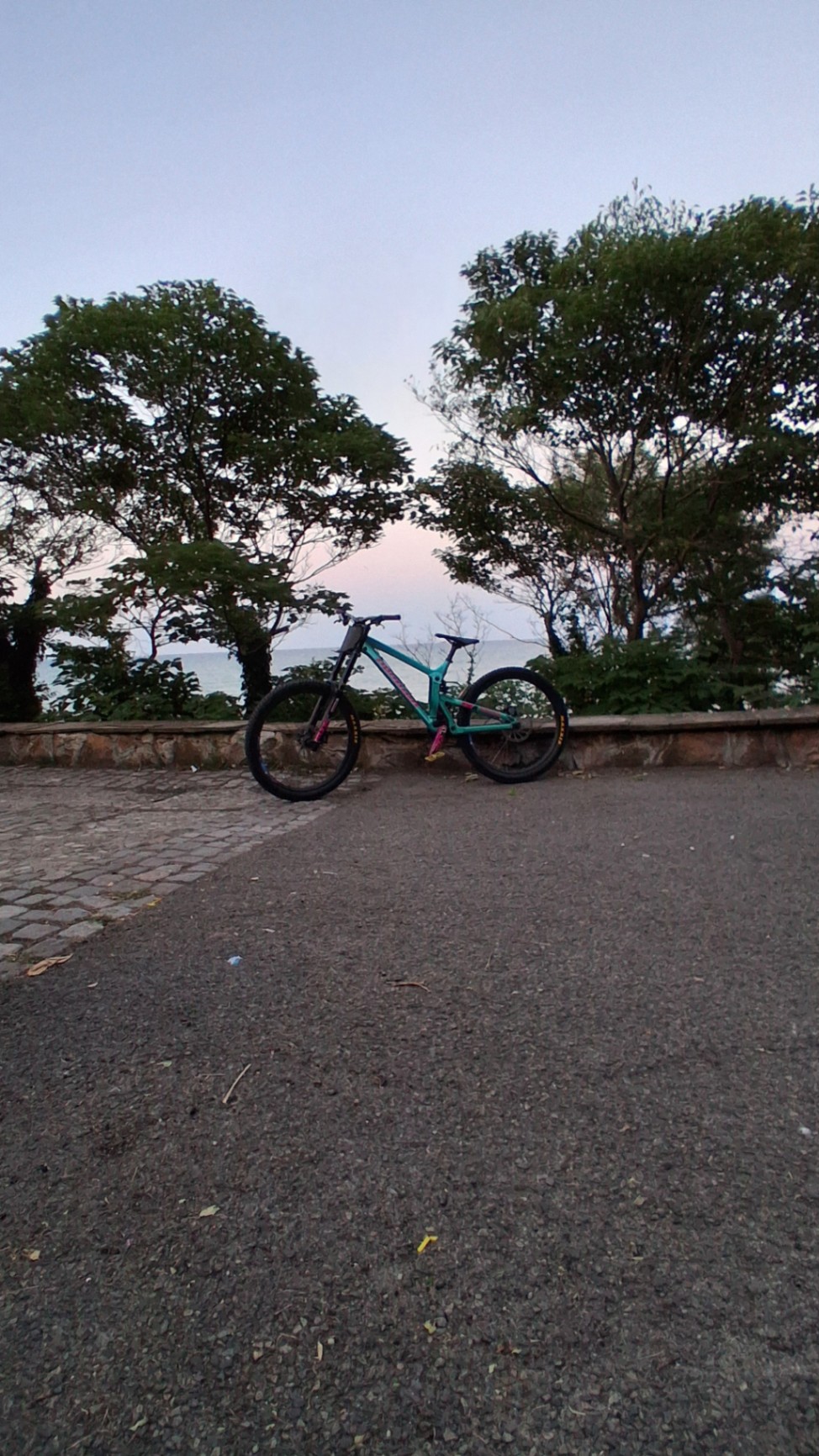 Bike view 7