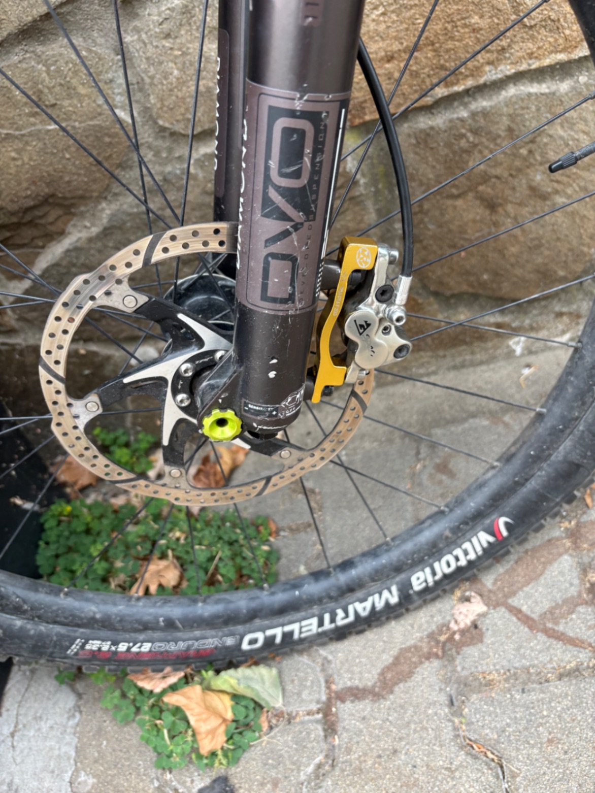Bike view 11