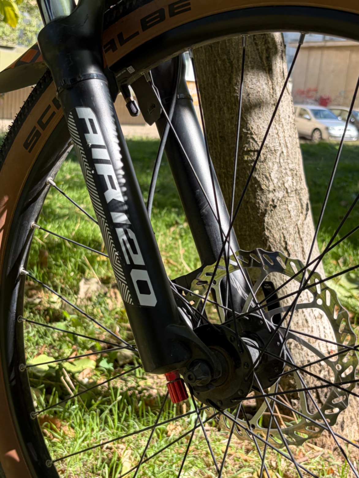 Bike view 12