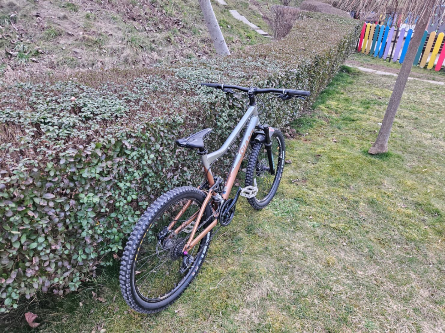 Bike view 8