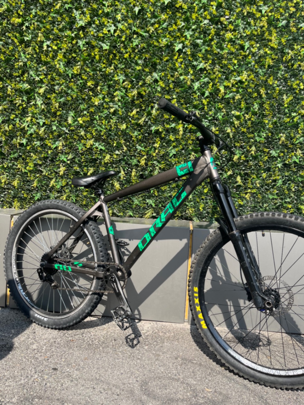 Bike view 5