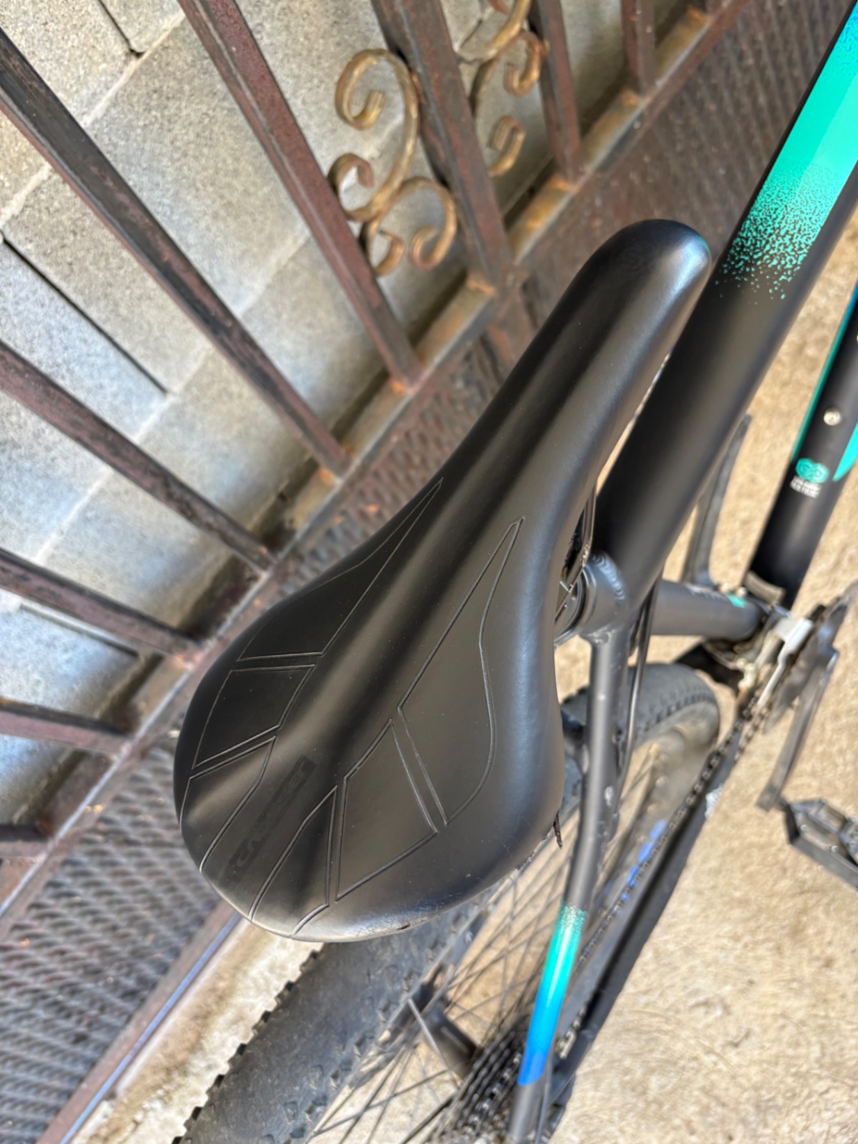 Bike view 9