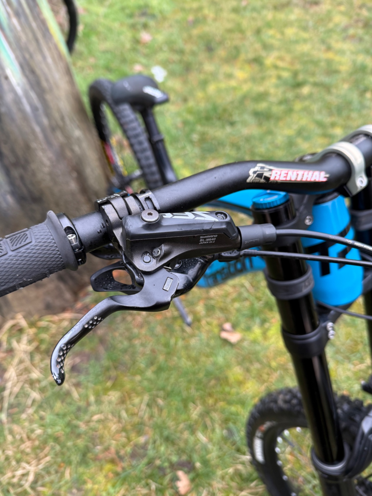 Bike view 9