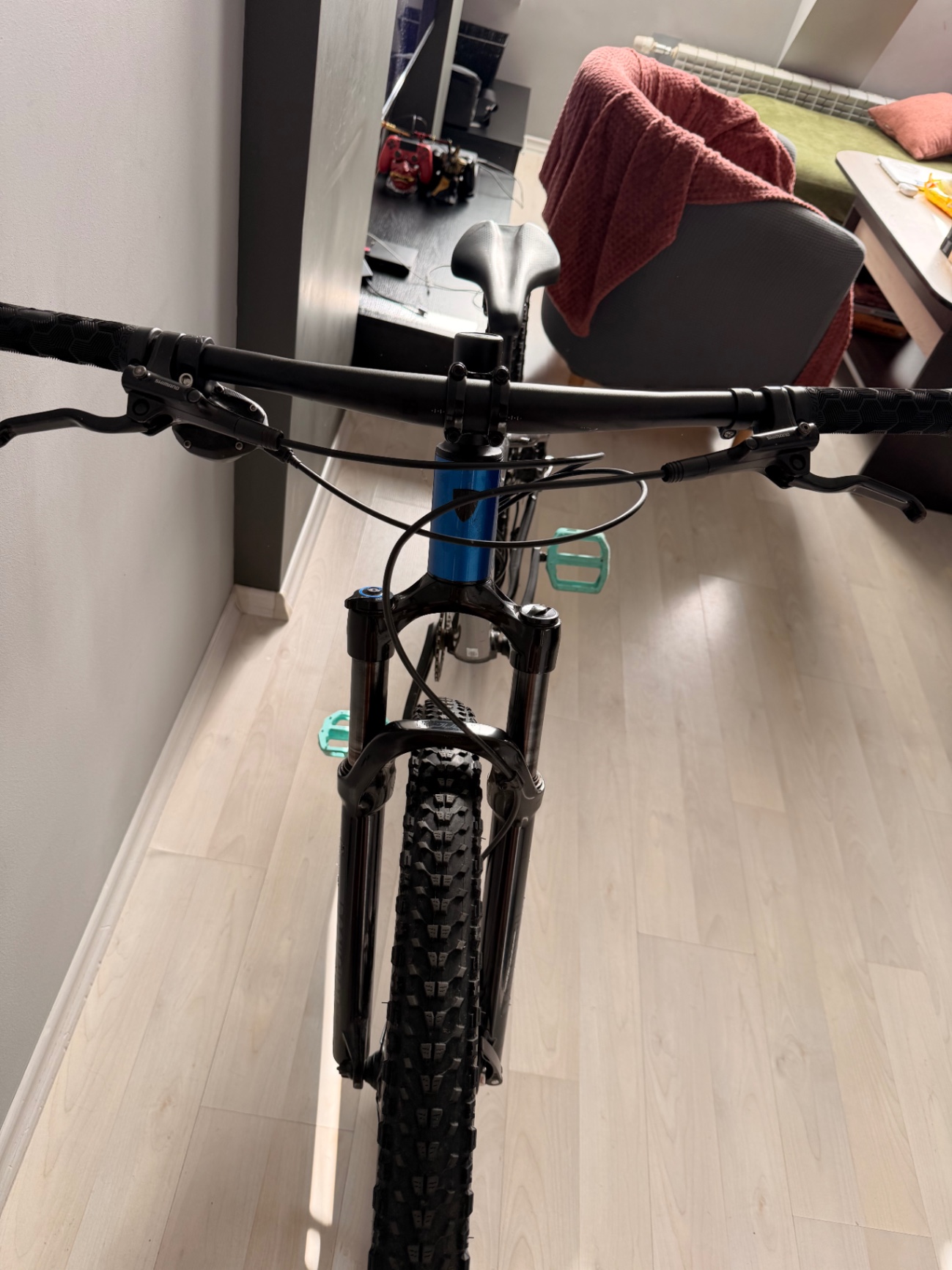 Bike view 6