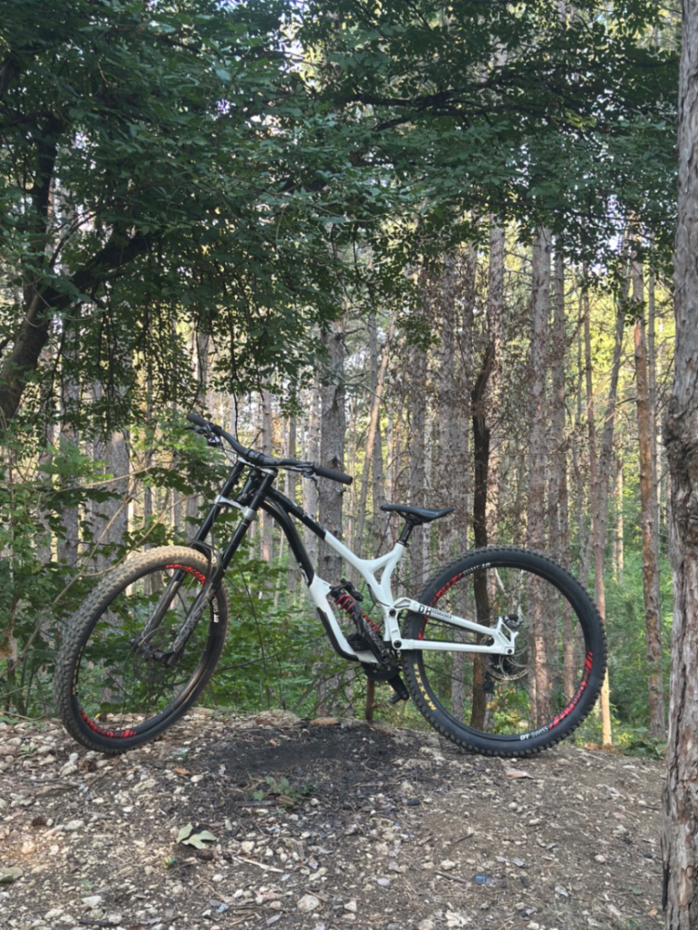 Bike view 11