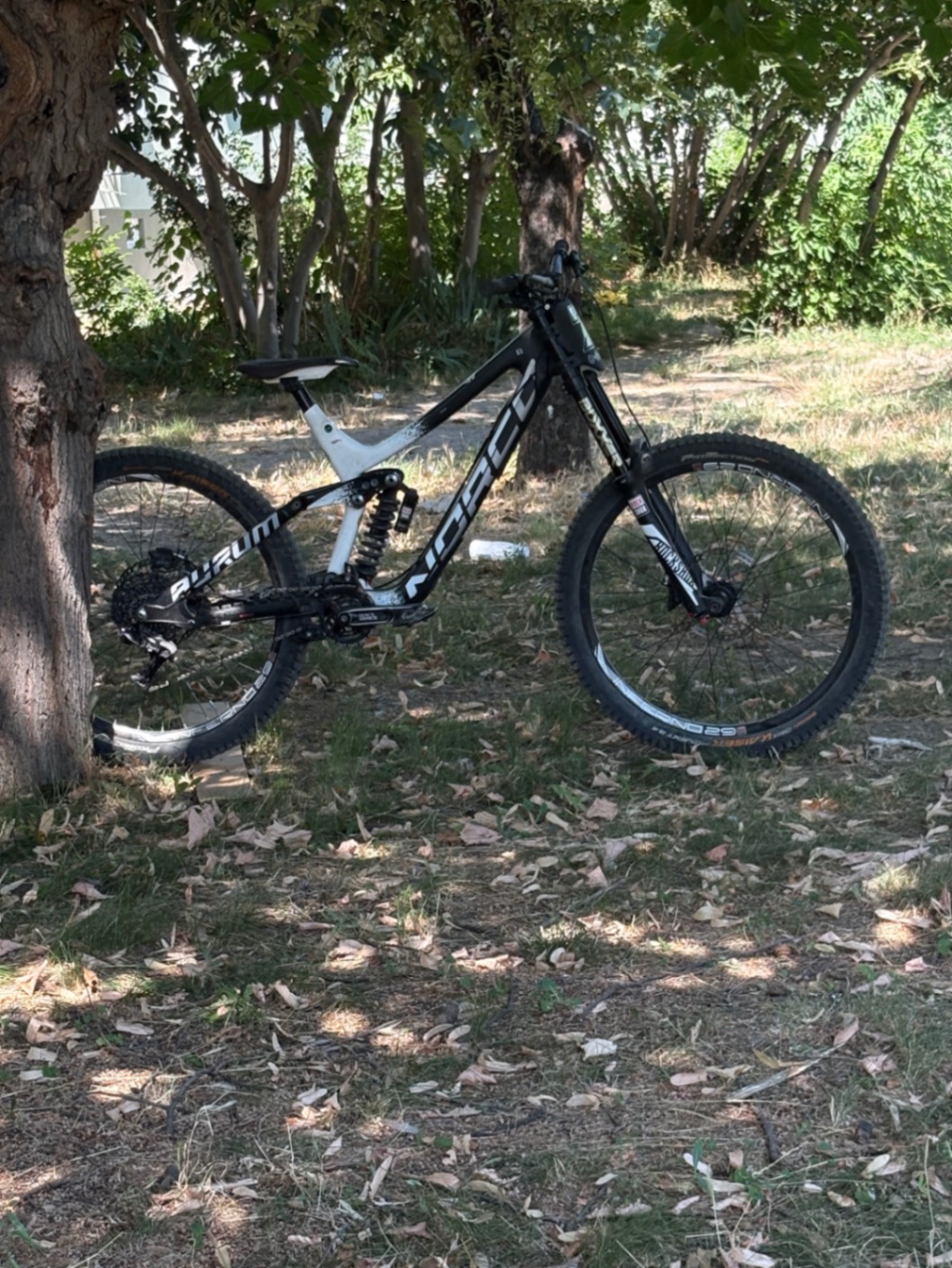 Bike view 6