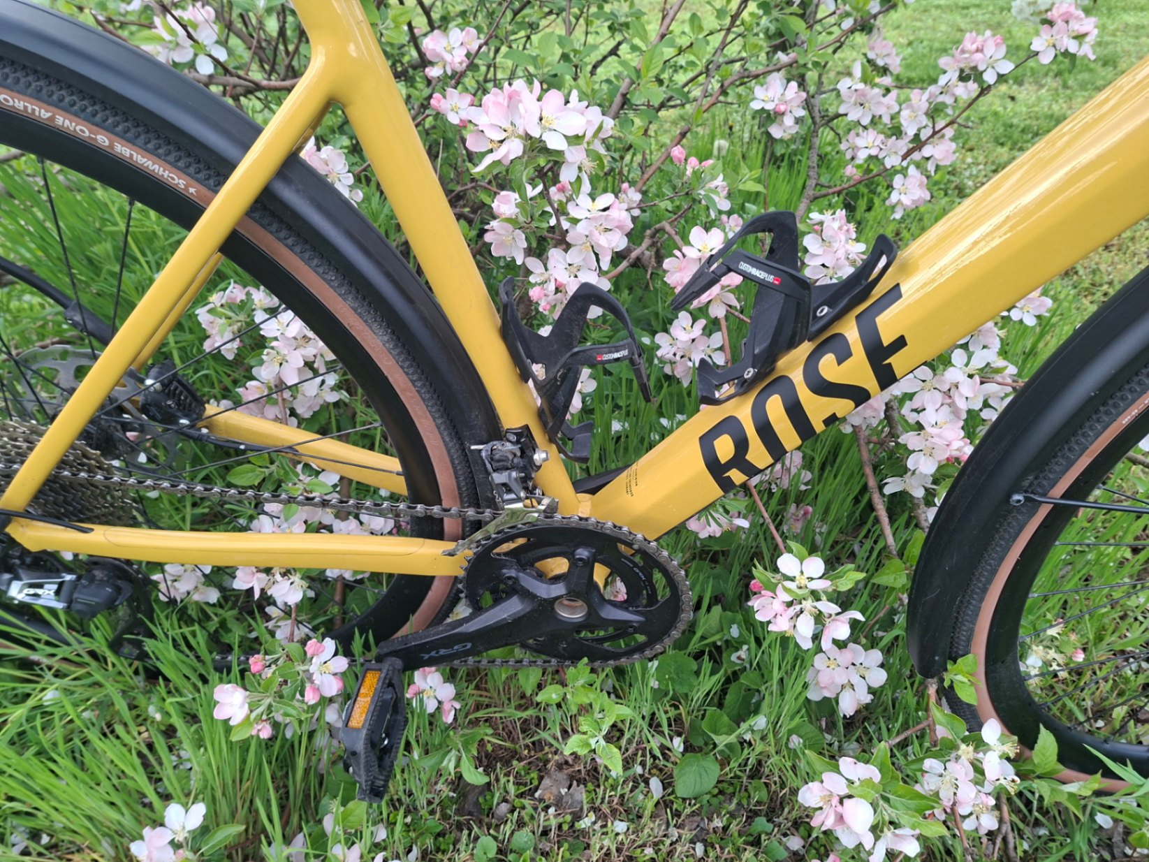 Bike view 8