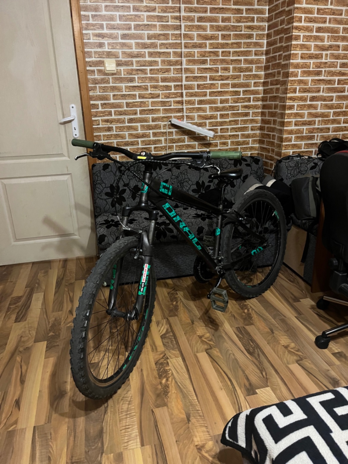 Bike view 4