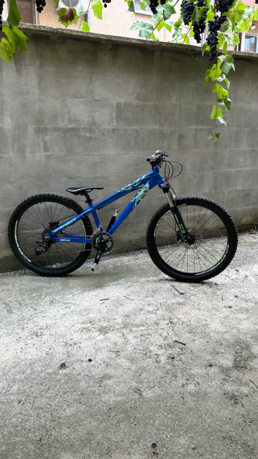 Bike view 4
