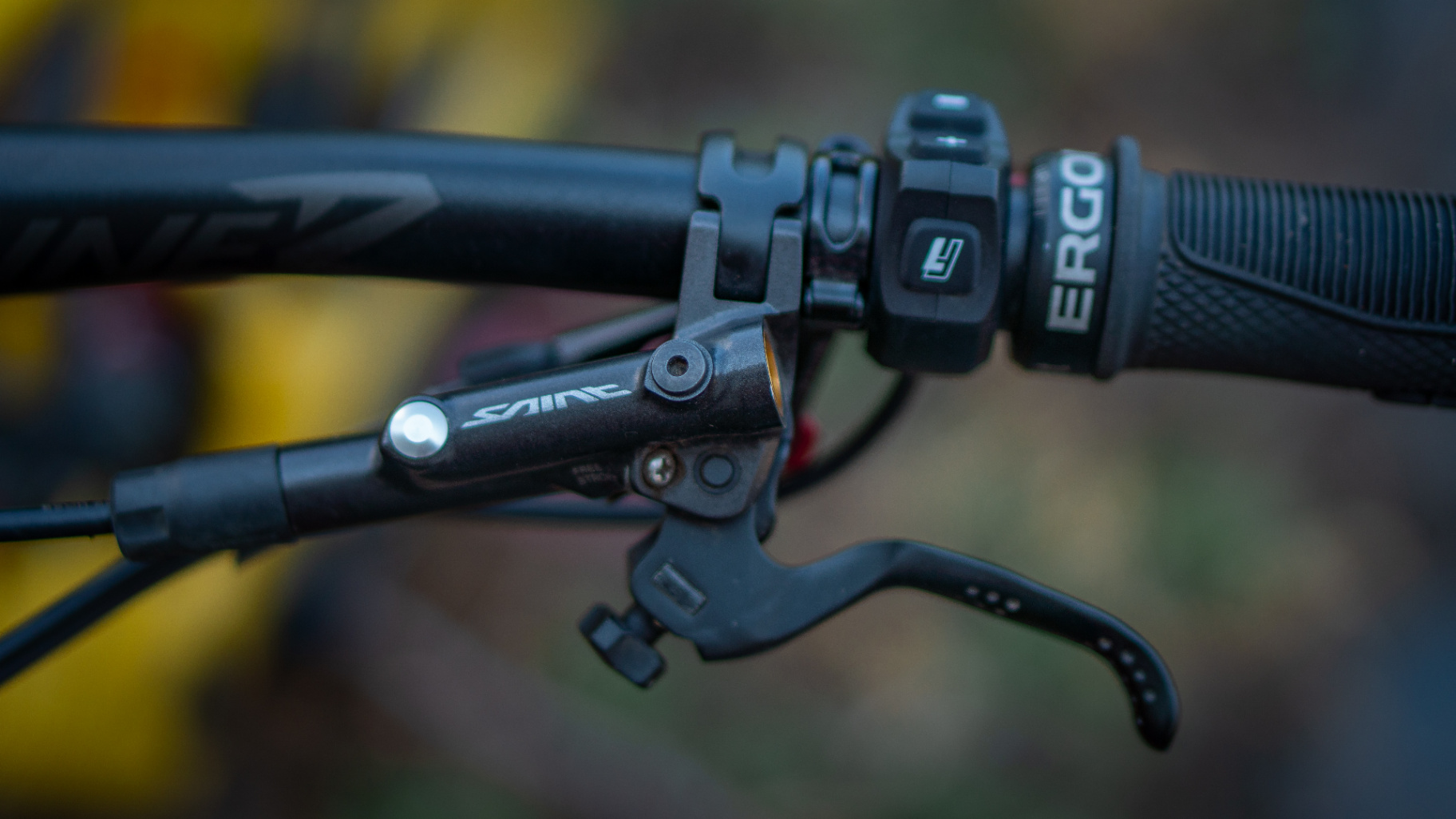 Bike view 12