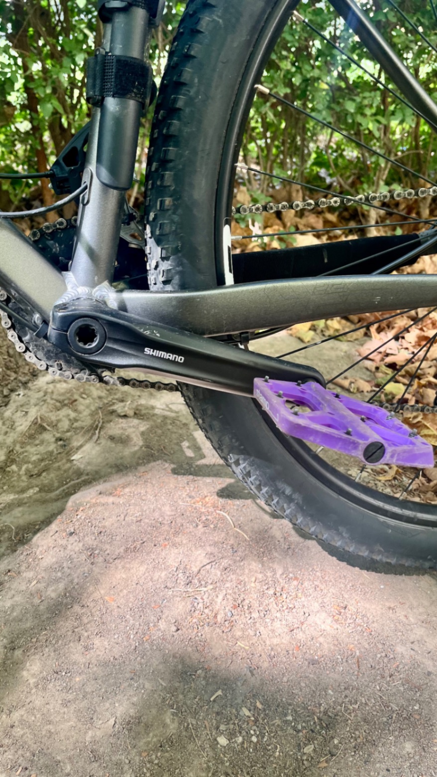 Bike view 9