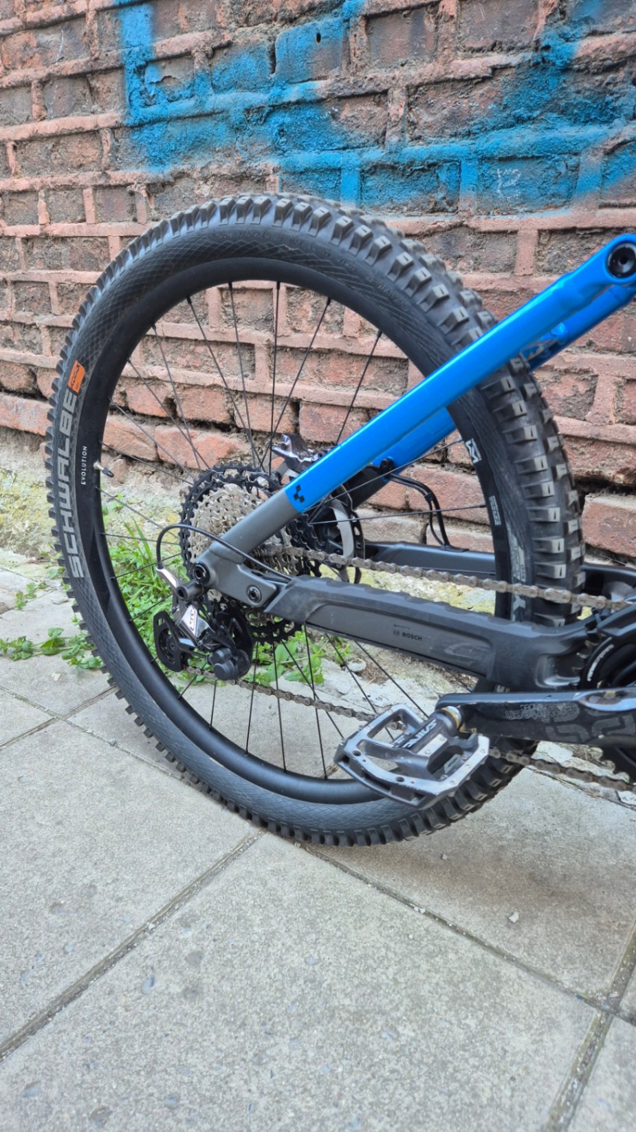 Bike view 11