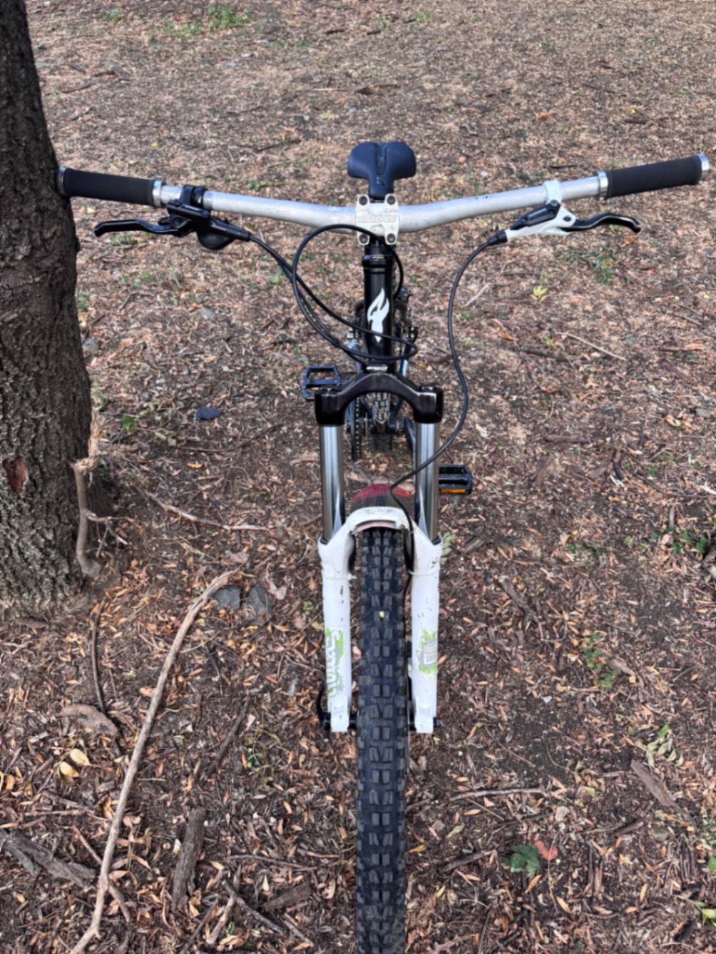 Bike view 9