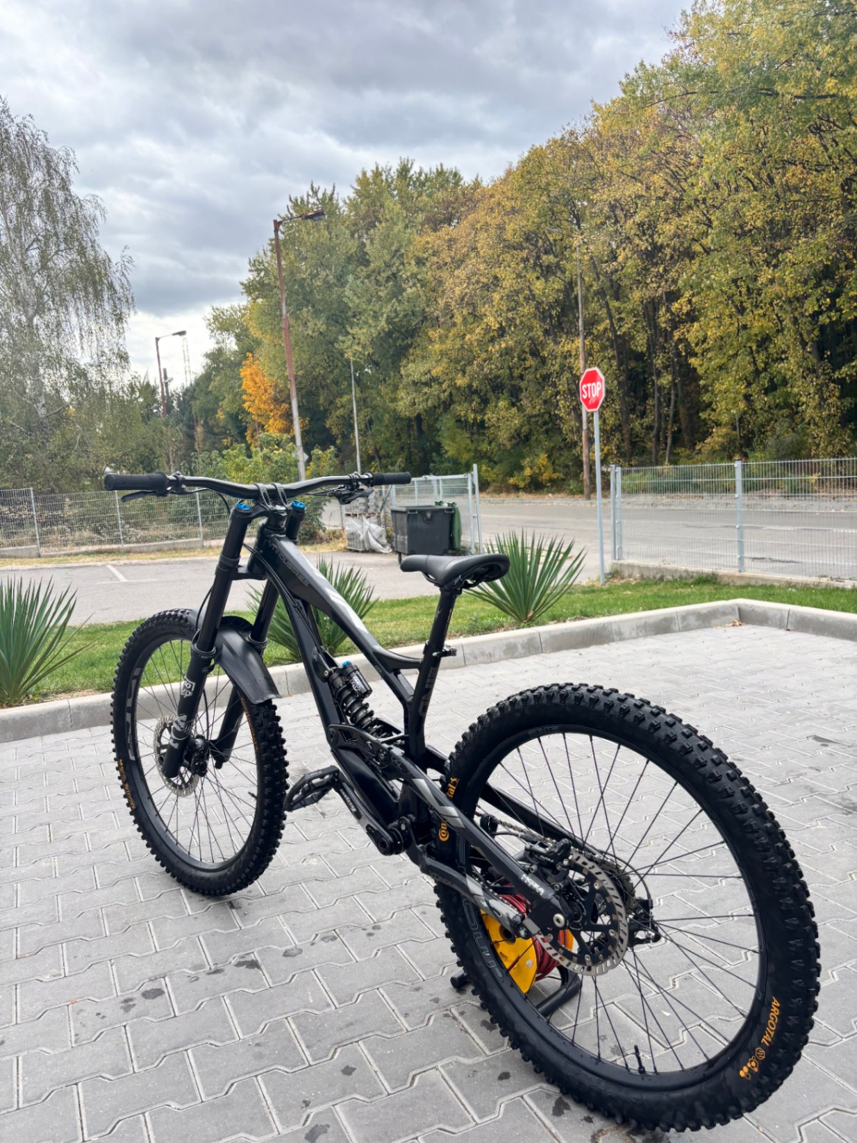 Bike view 5