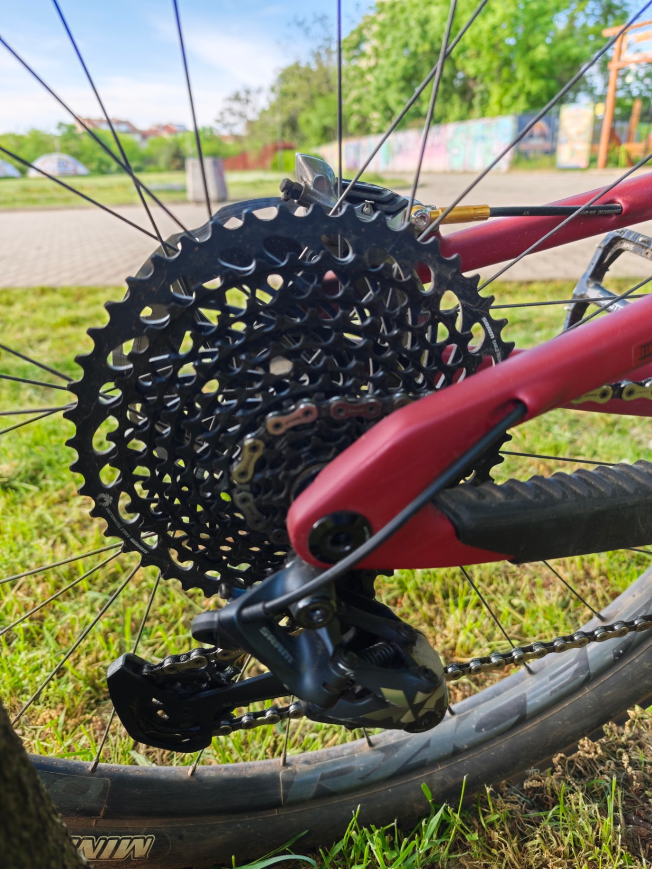 Bike view 8