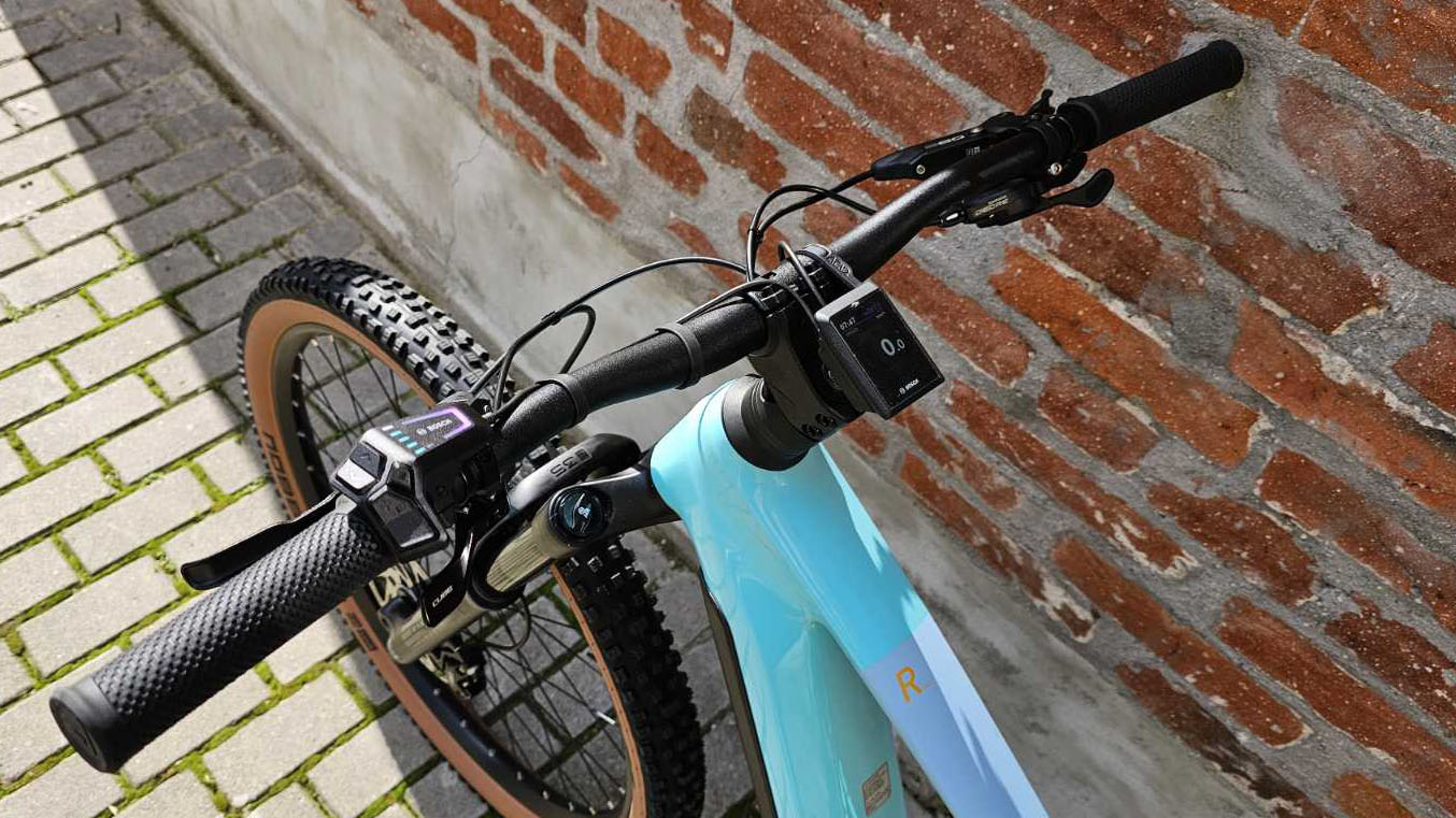 Bike view 9