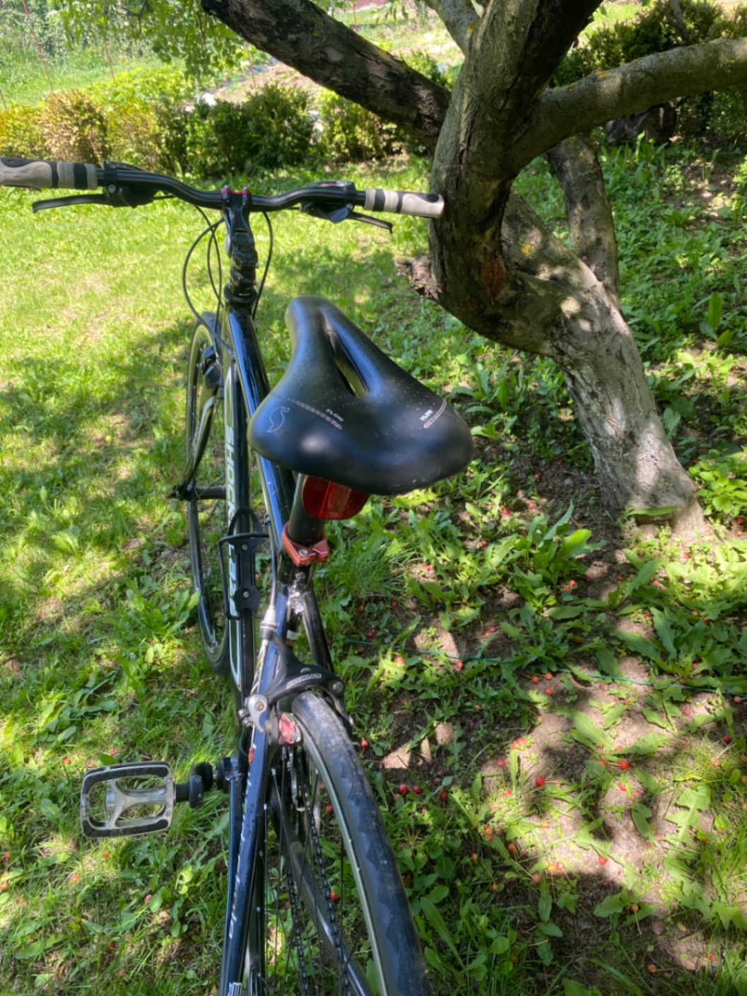 Bike view 4