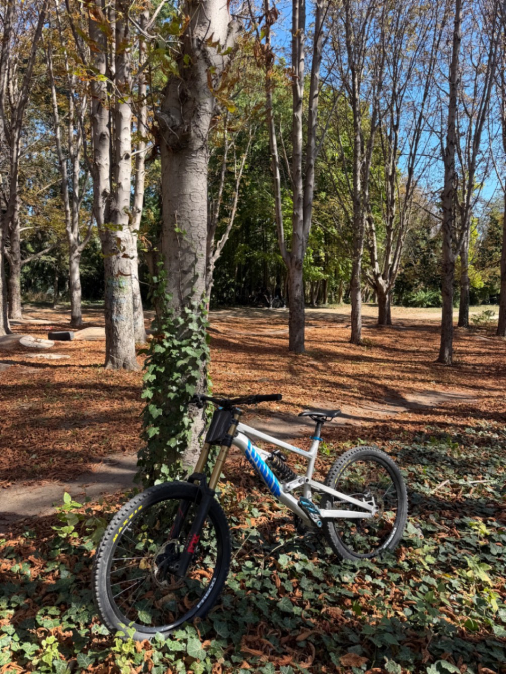 Bike view 11