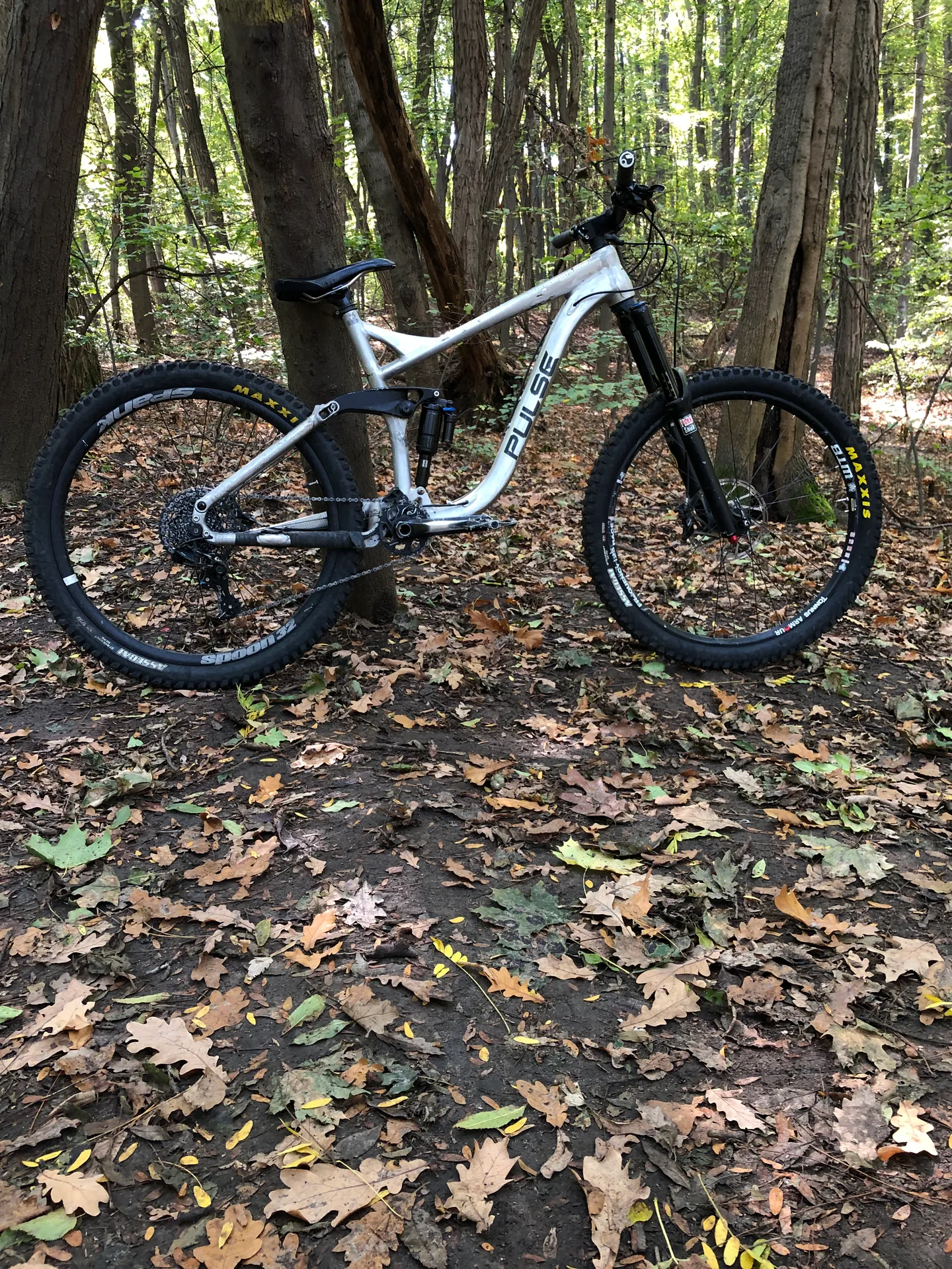 Pulse Rs1