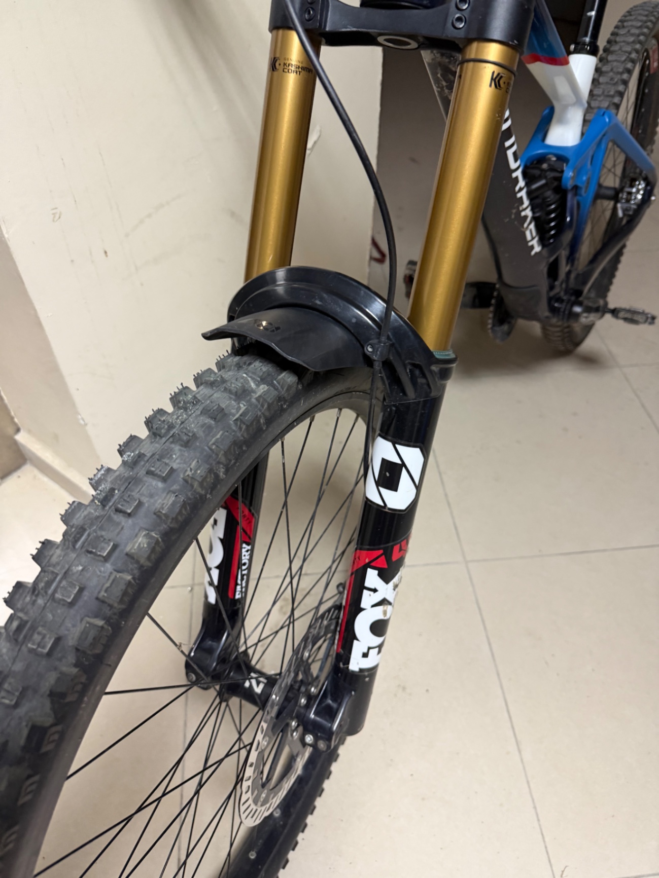 Bike view 7