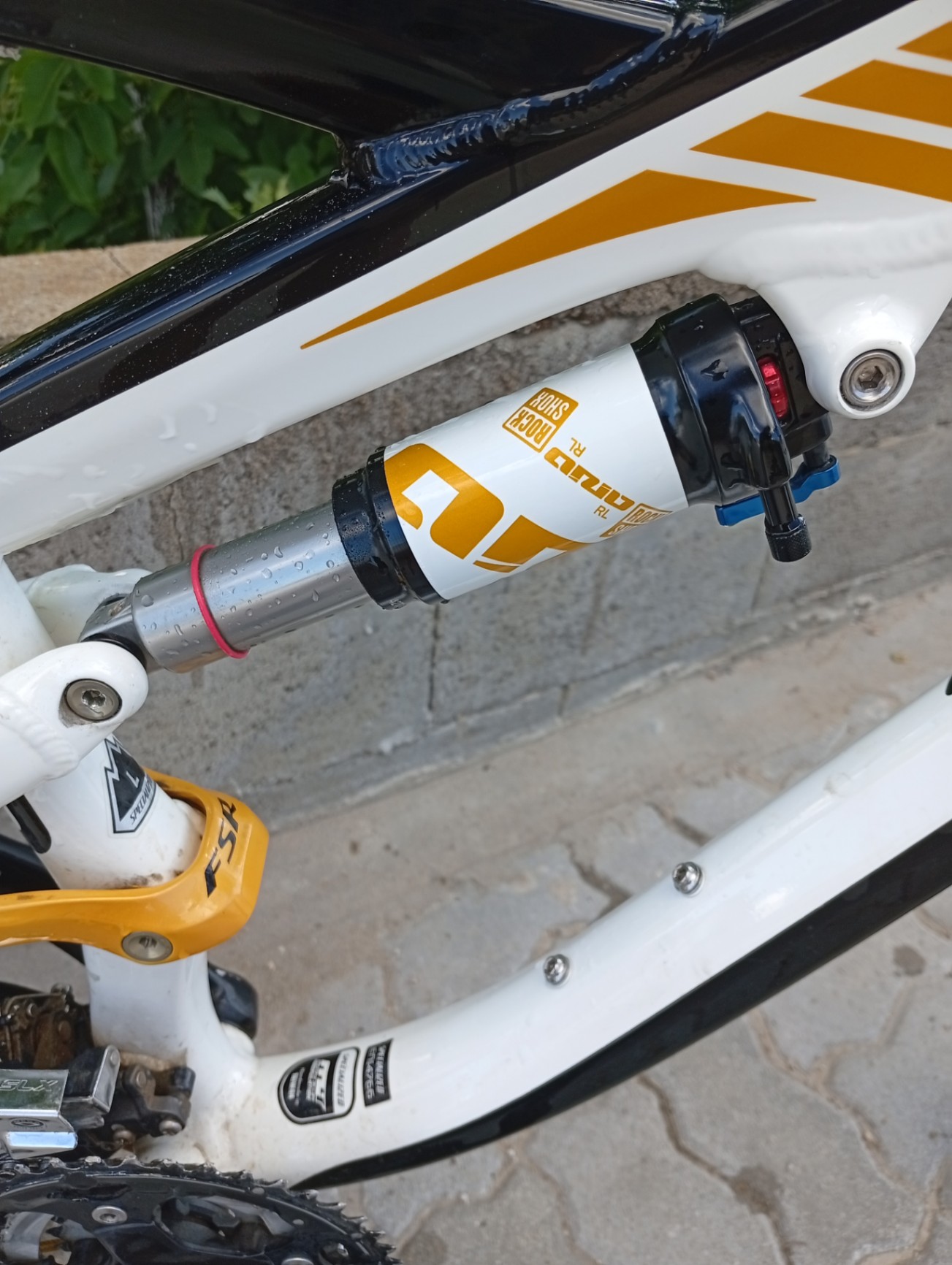 Bike view 5