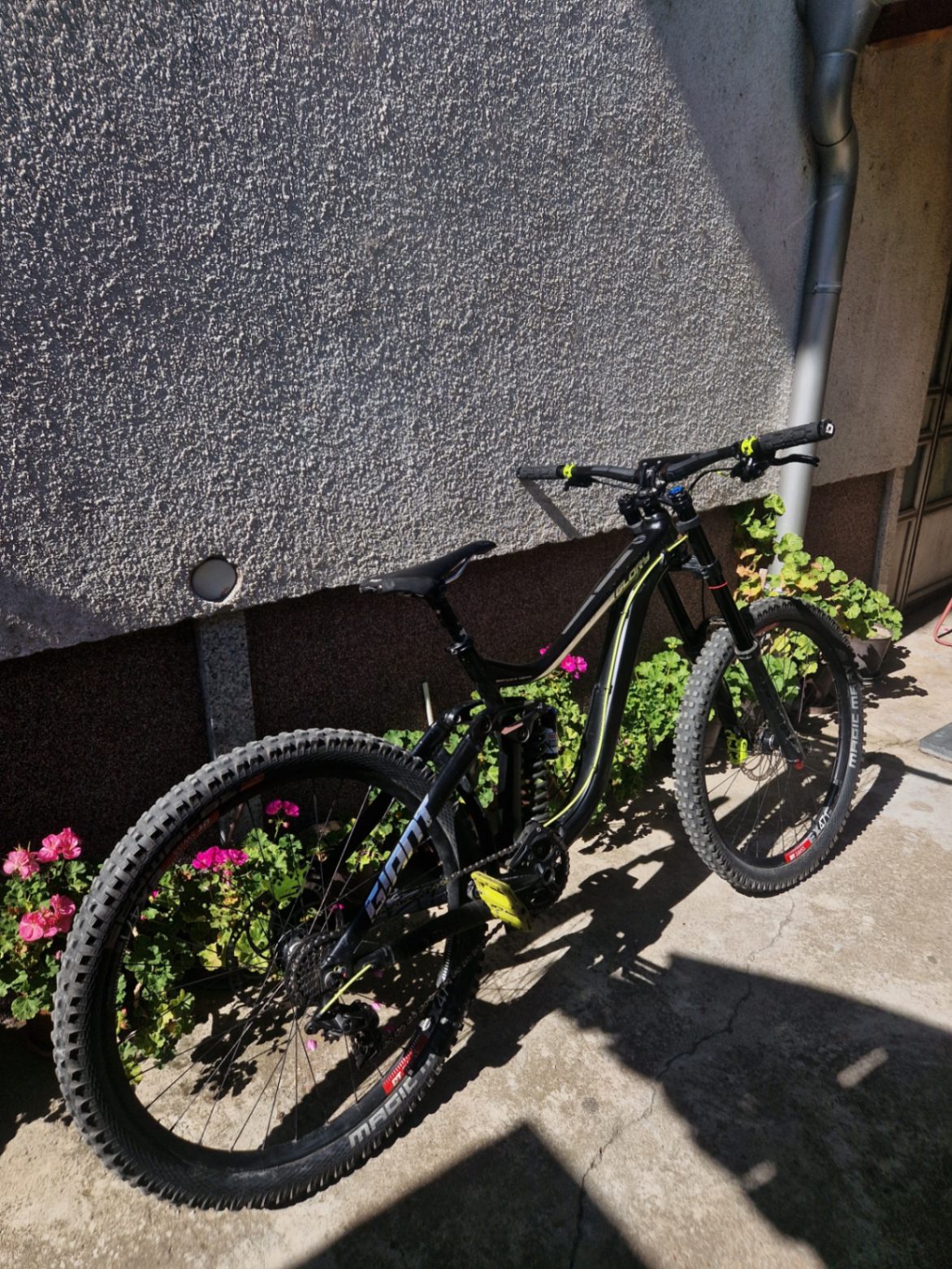 Bike view 5